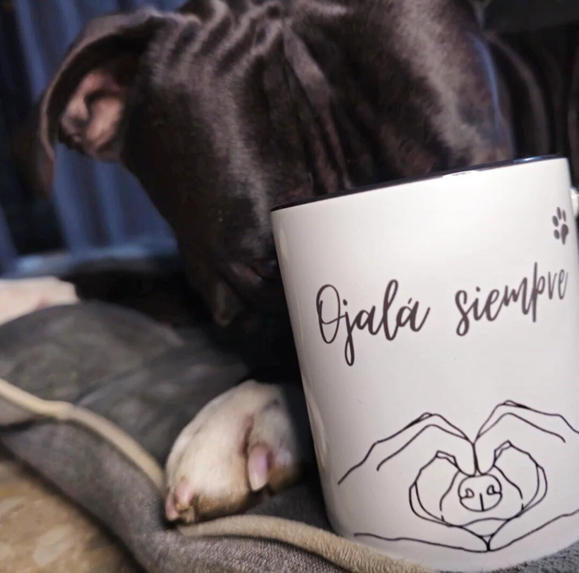 Taza Ojalá siempre - 1