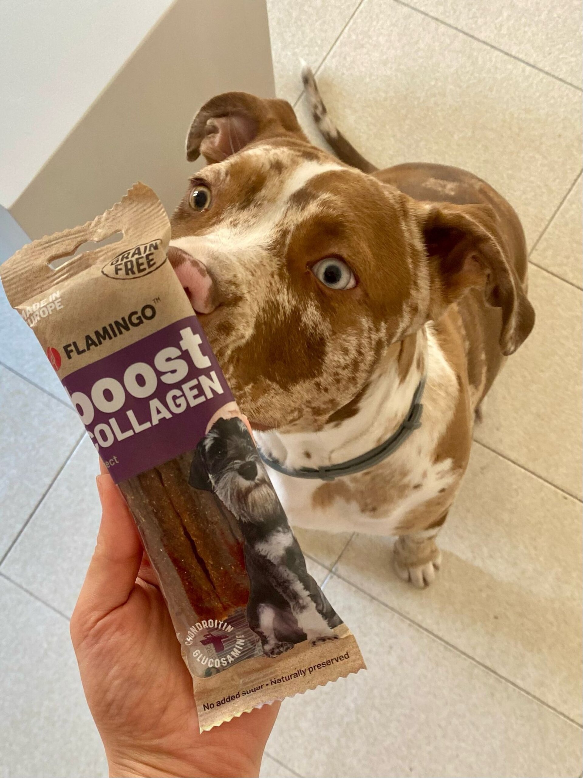 Flamingo Snack Boost Barra Con Insectos Y Colageno - 2