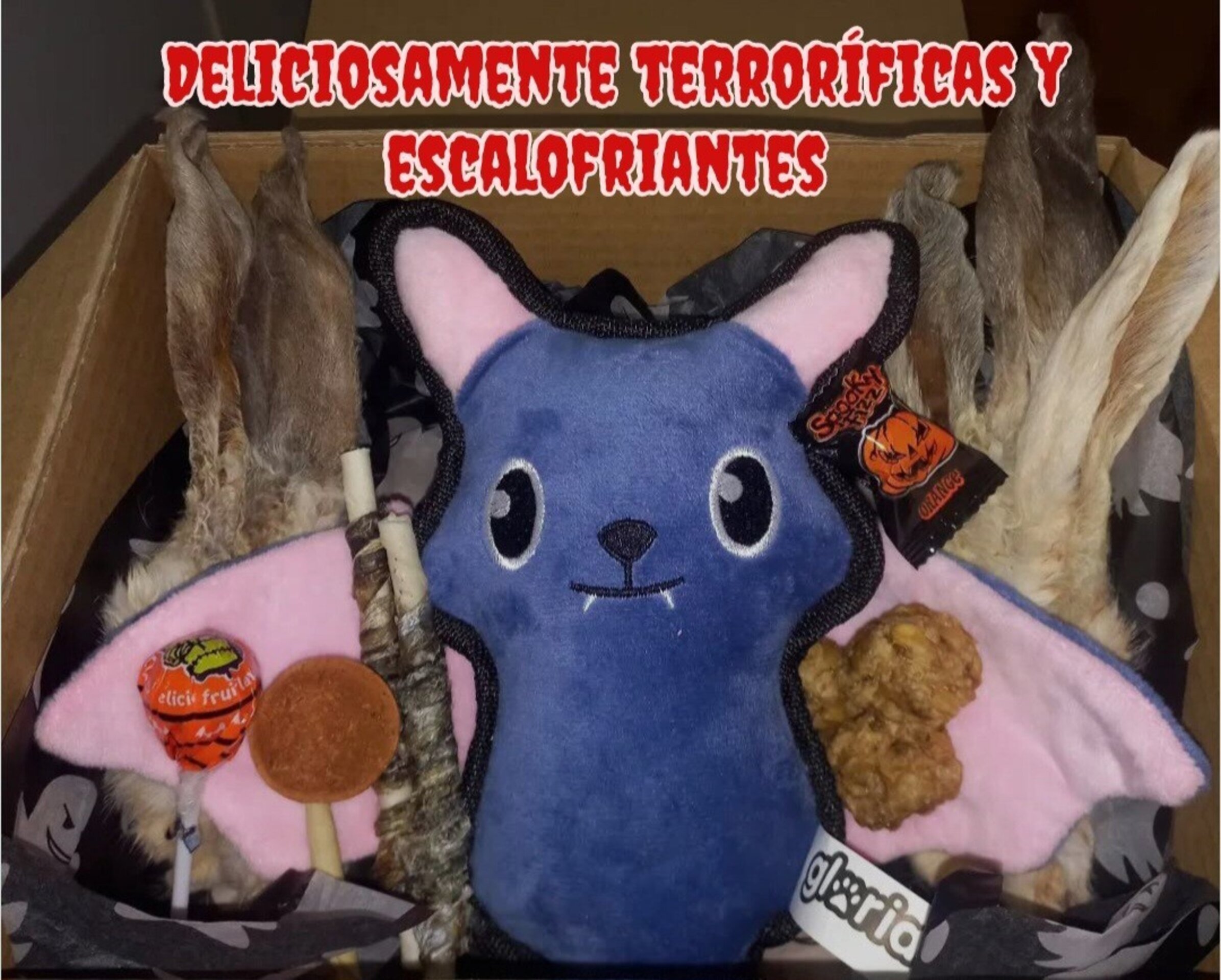 Cajitas  halloween perro y gato - 6