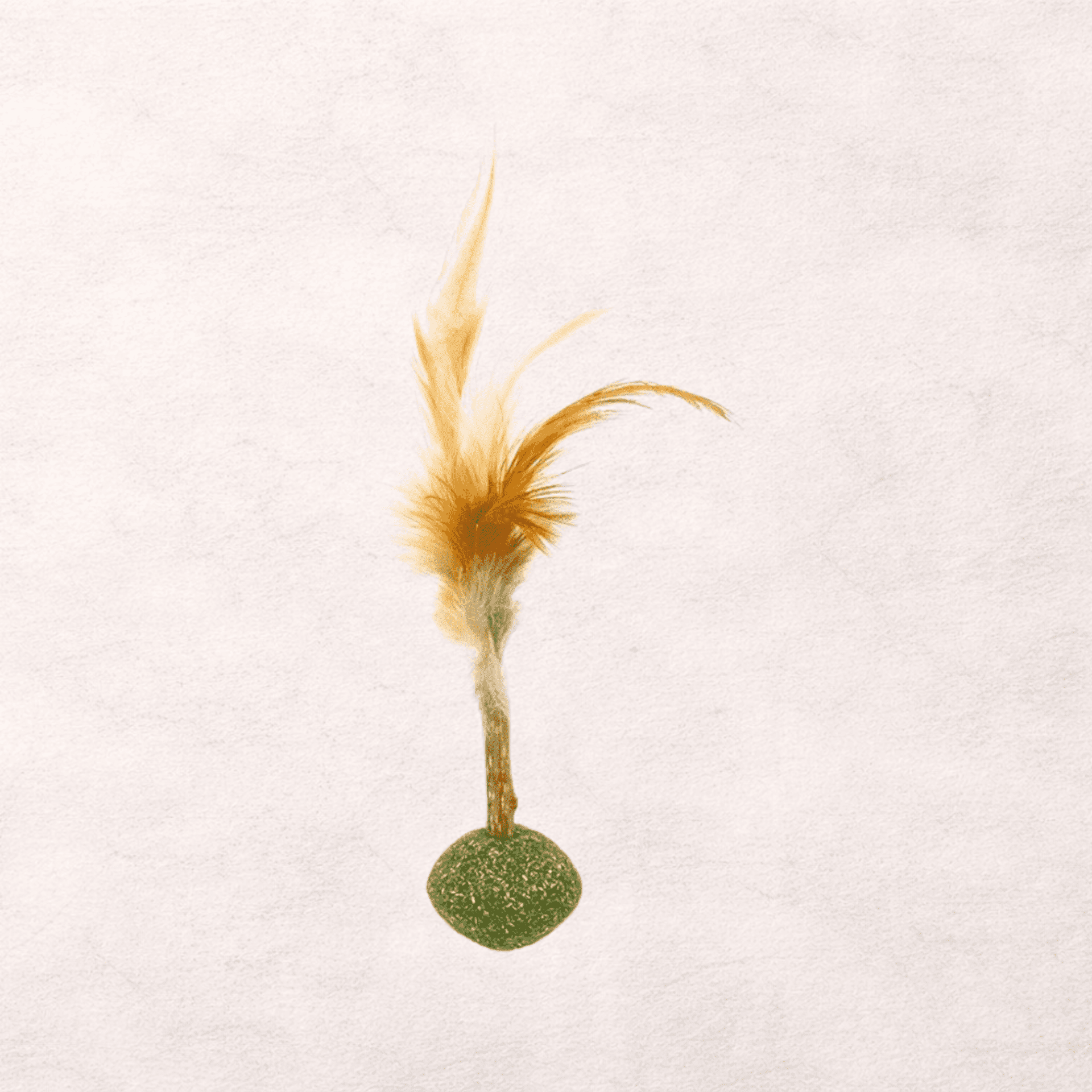 Bubimex Matatabi Stick con bola de hierba gatera y plumas - 1