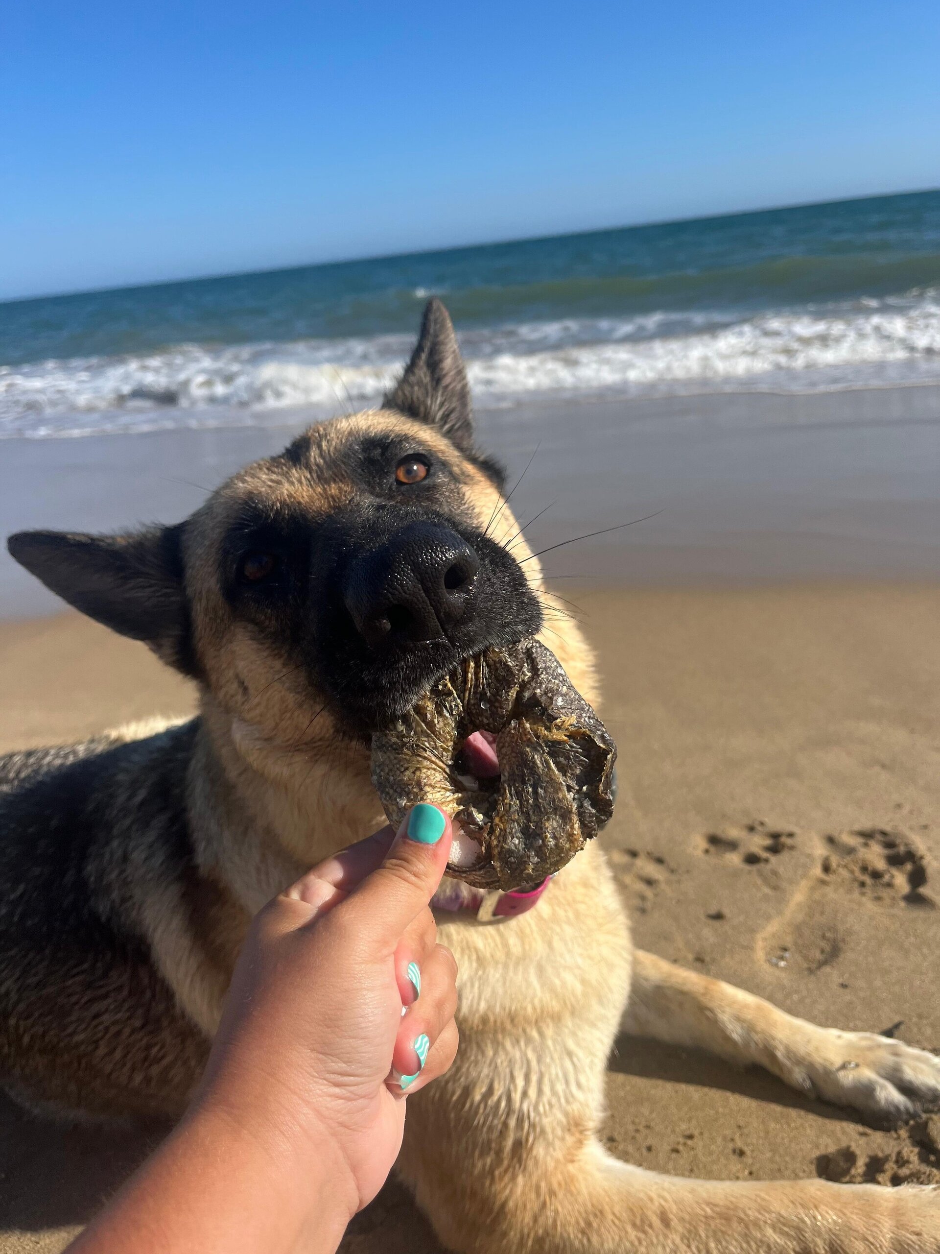 Donuts de pescado - 2