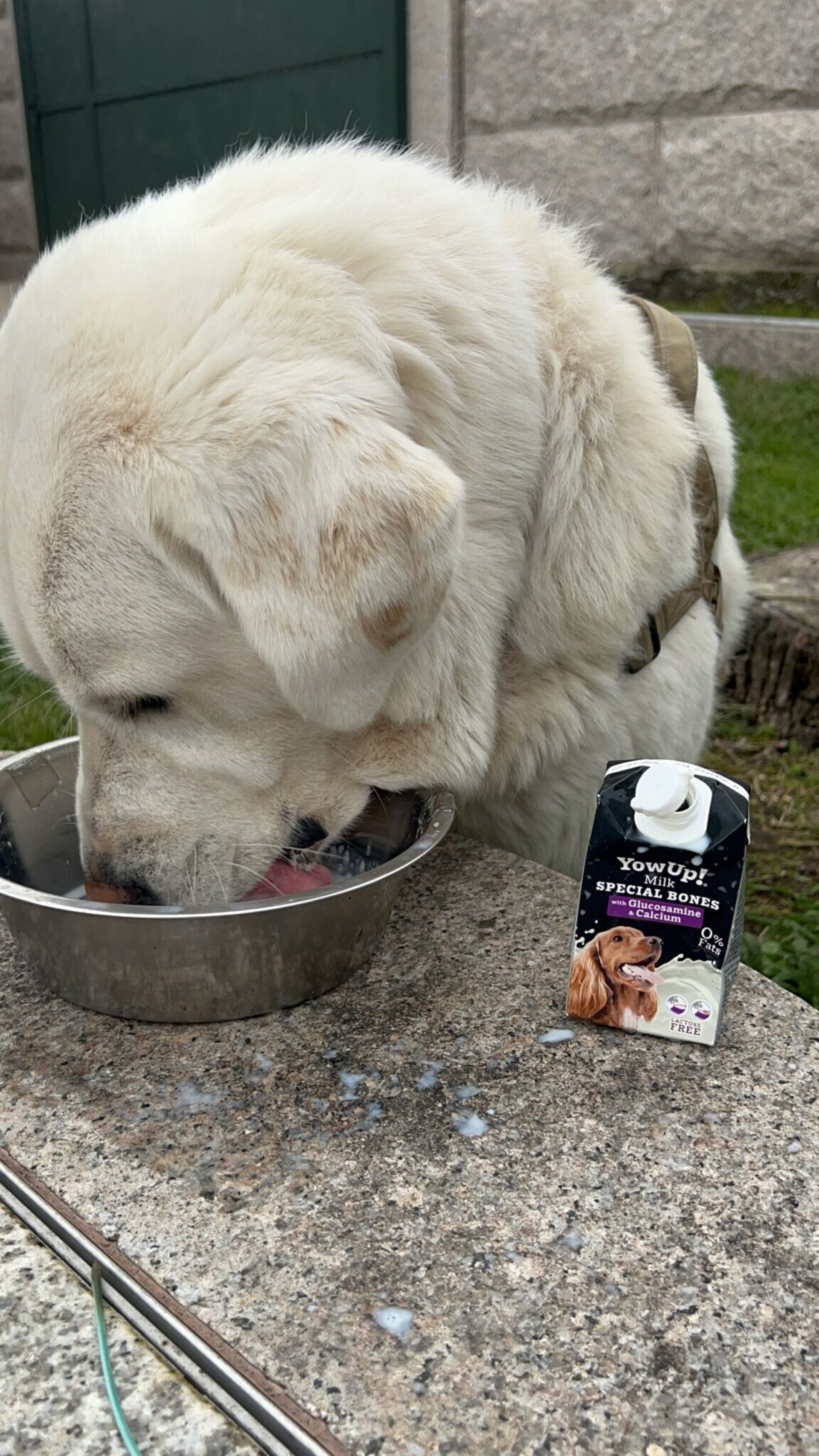 Yowup  Leche para perros - 3
