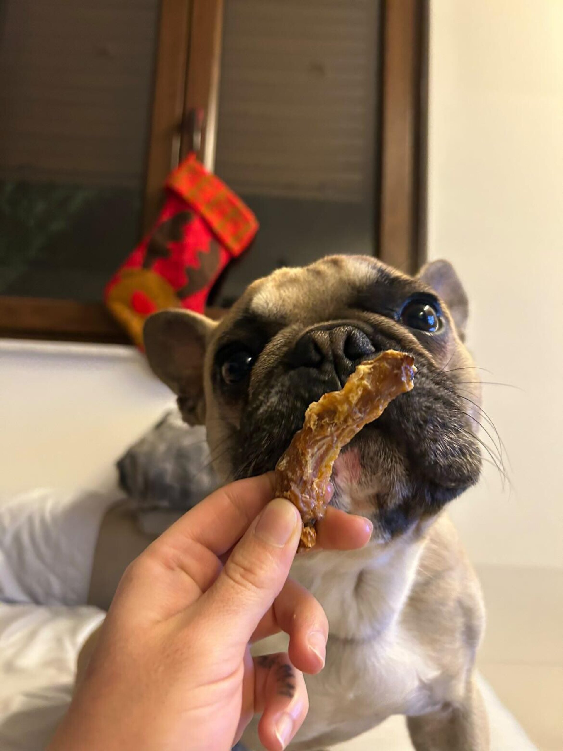 Snack Cuellos de Pollo deshidratados para Perro y Gato - 1