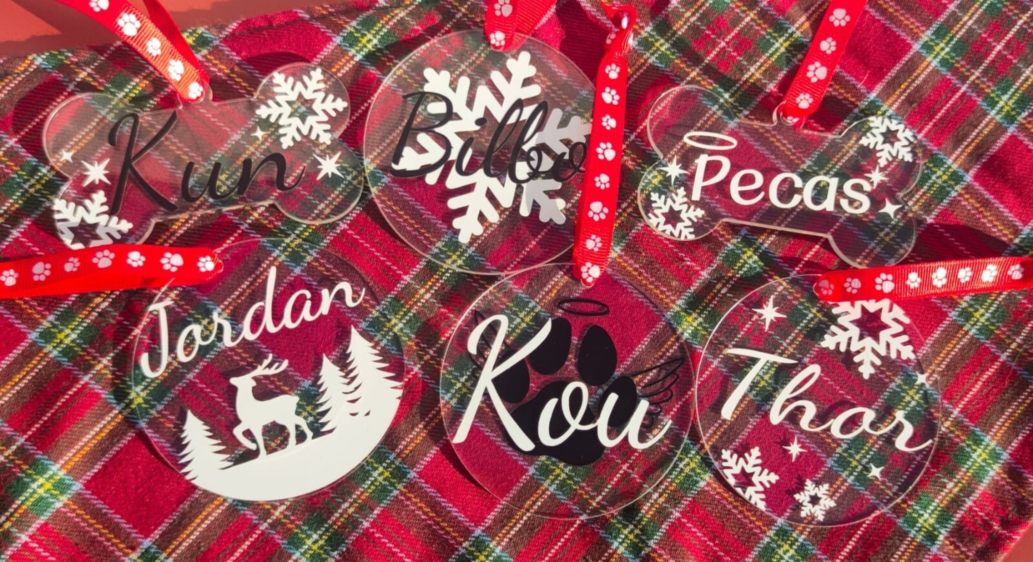 Santa Paw’s Box - 10