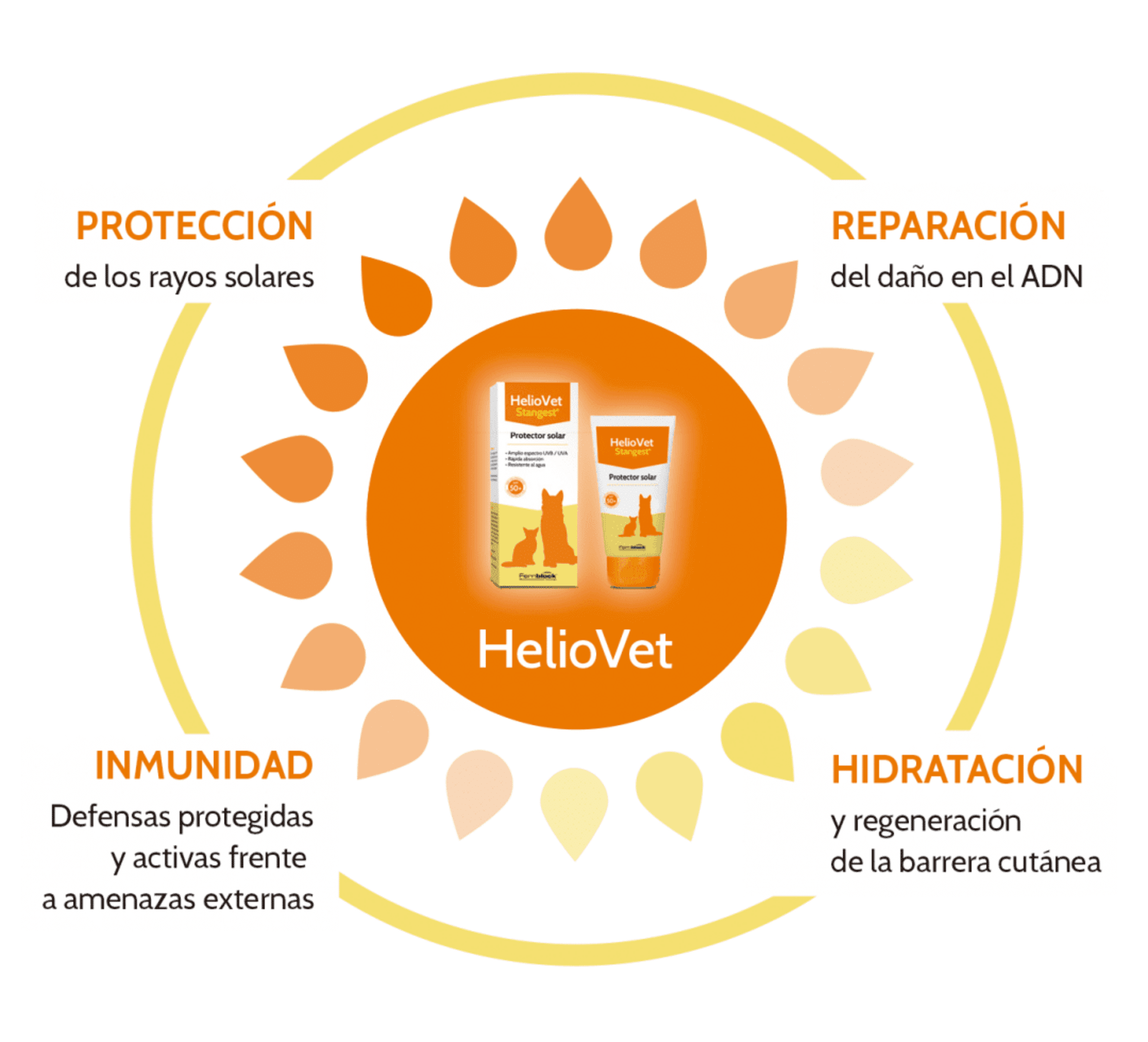 Heliovet spray  protector solar perros y gatos - 2