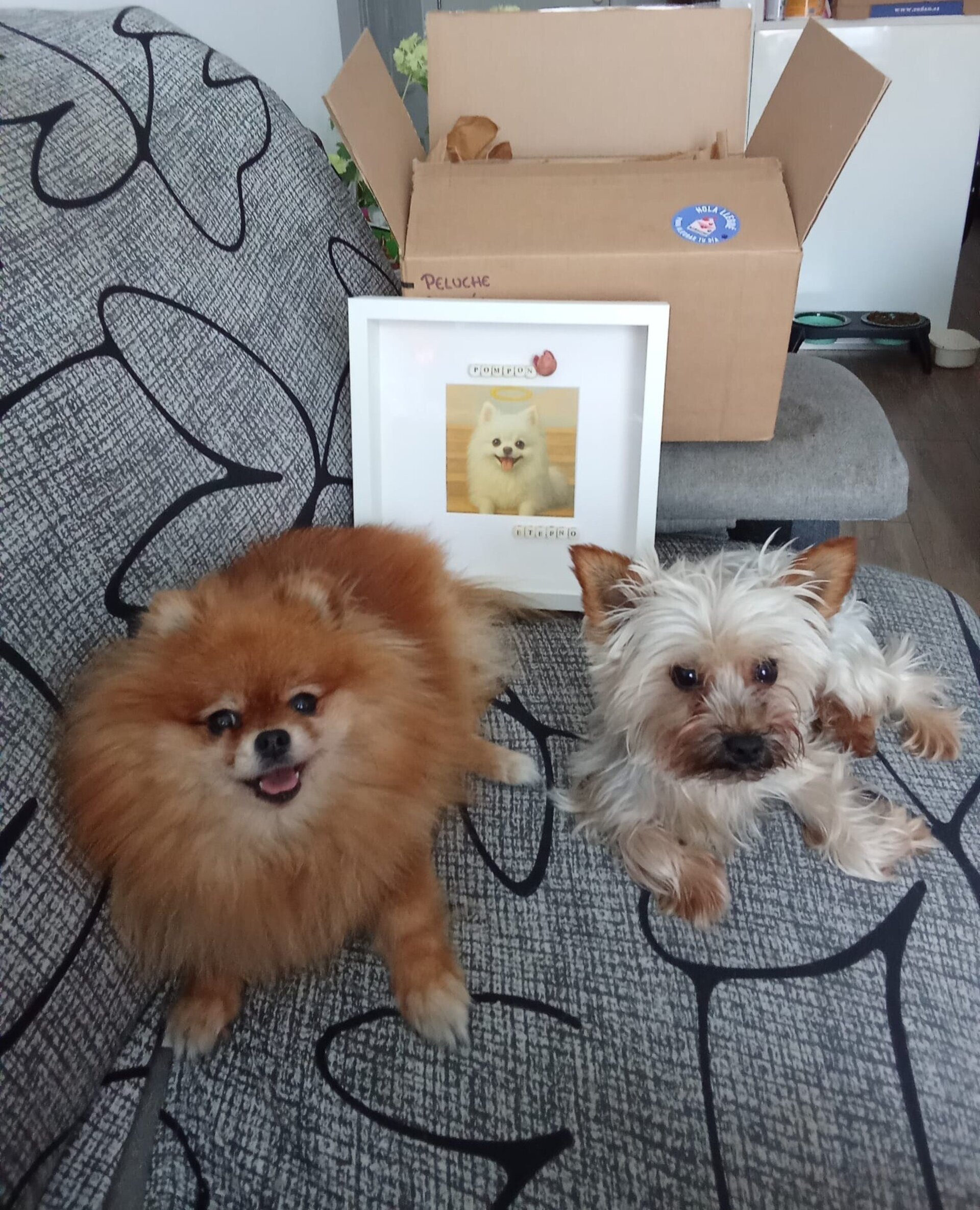 Marco 3D Personalizado para Mascota - 4