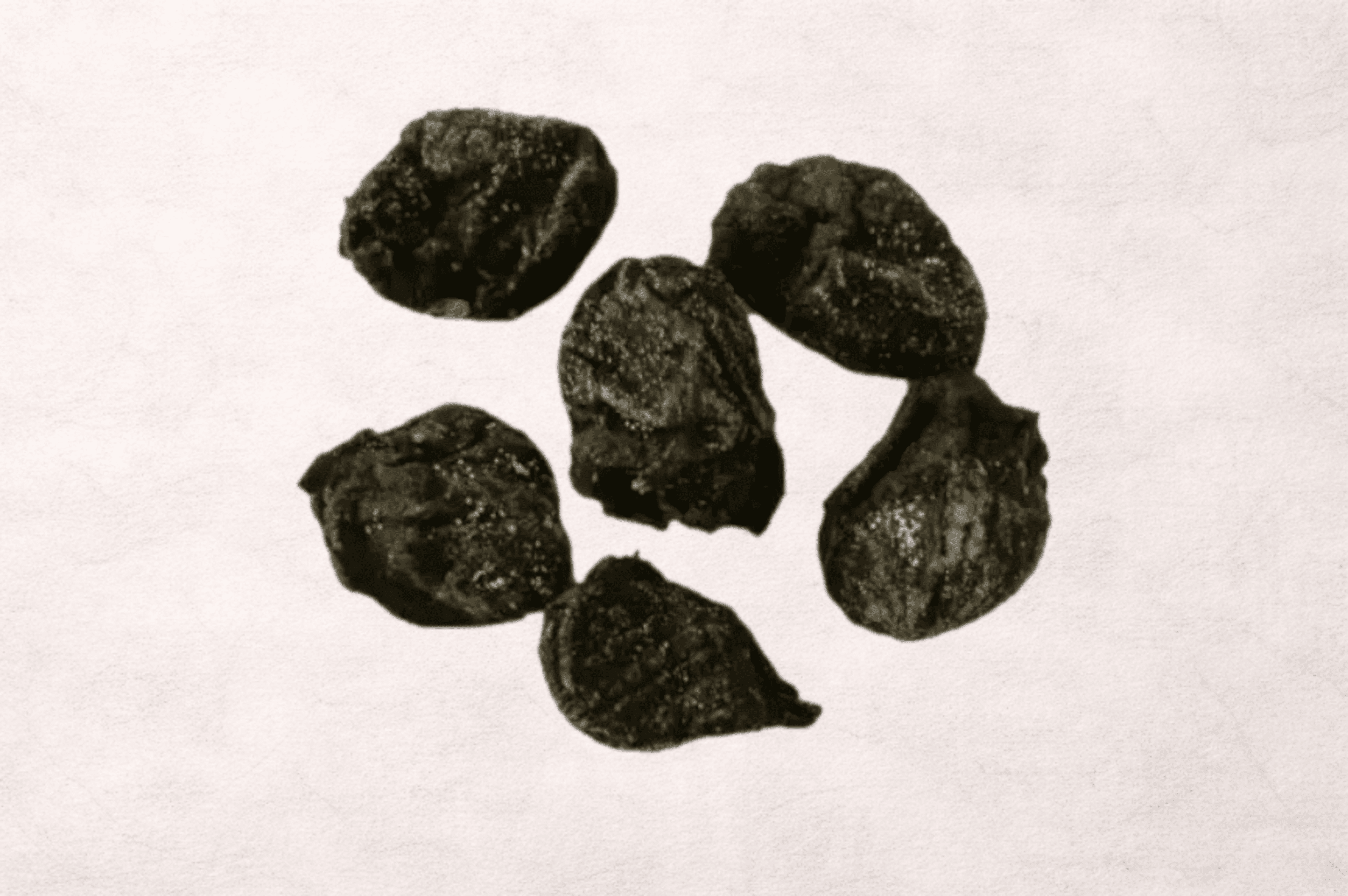 Pulmón de Conejo Deshidratado snacks perros 100gr - 1