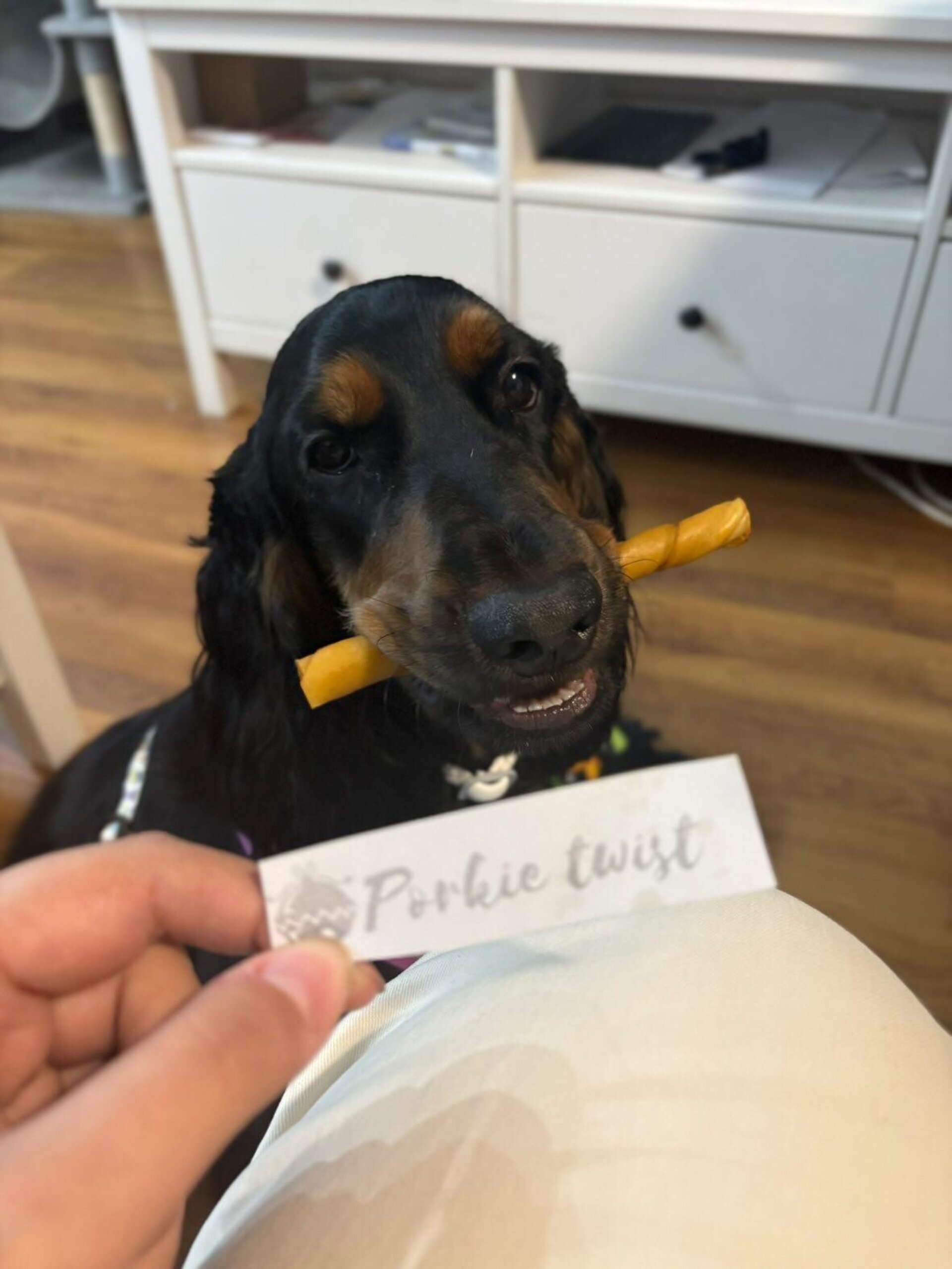 Porkies Twisties x4, 15cm snacks perro - 2