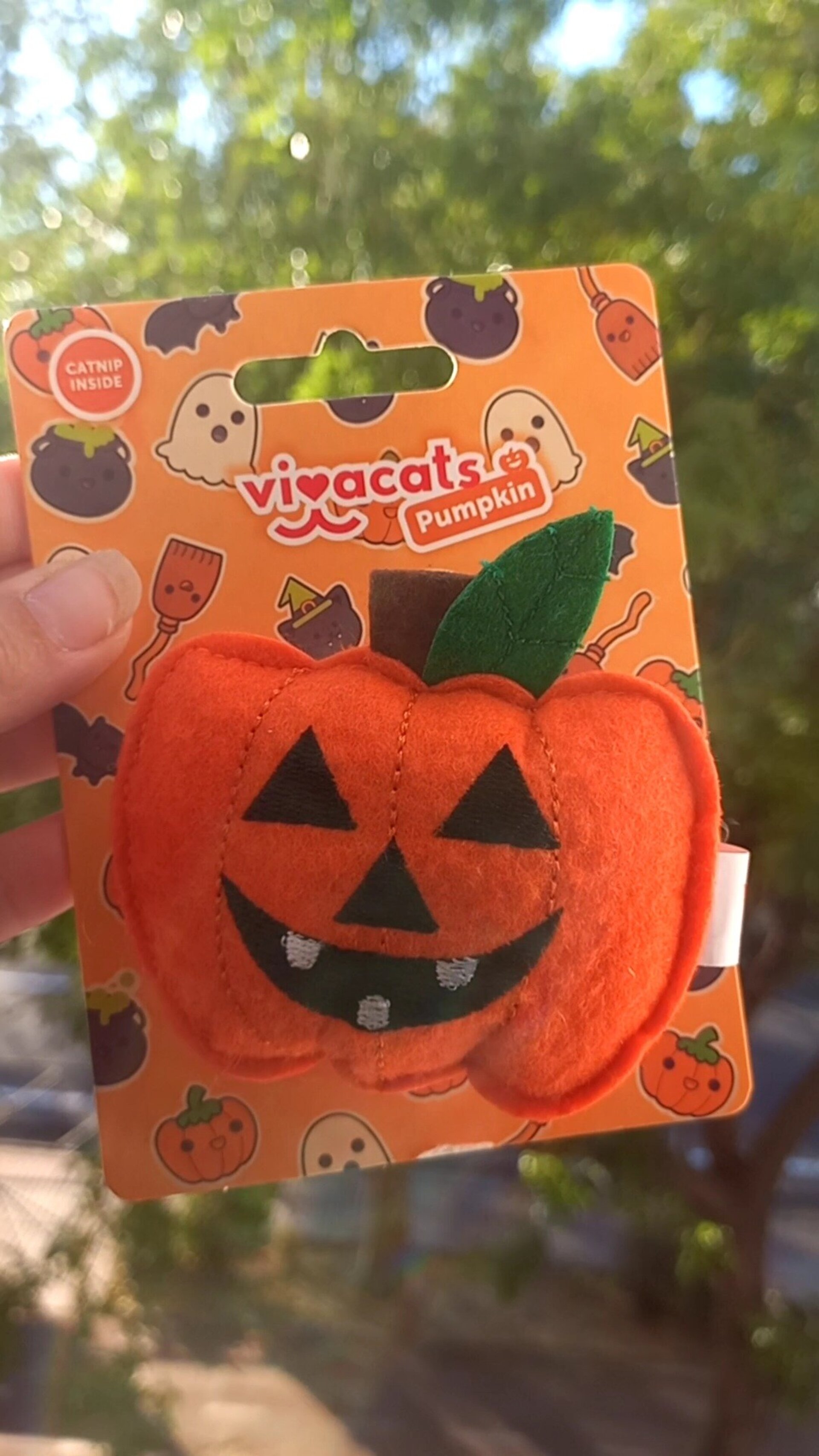 Juguete catnip calabaza gato - 1