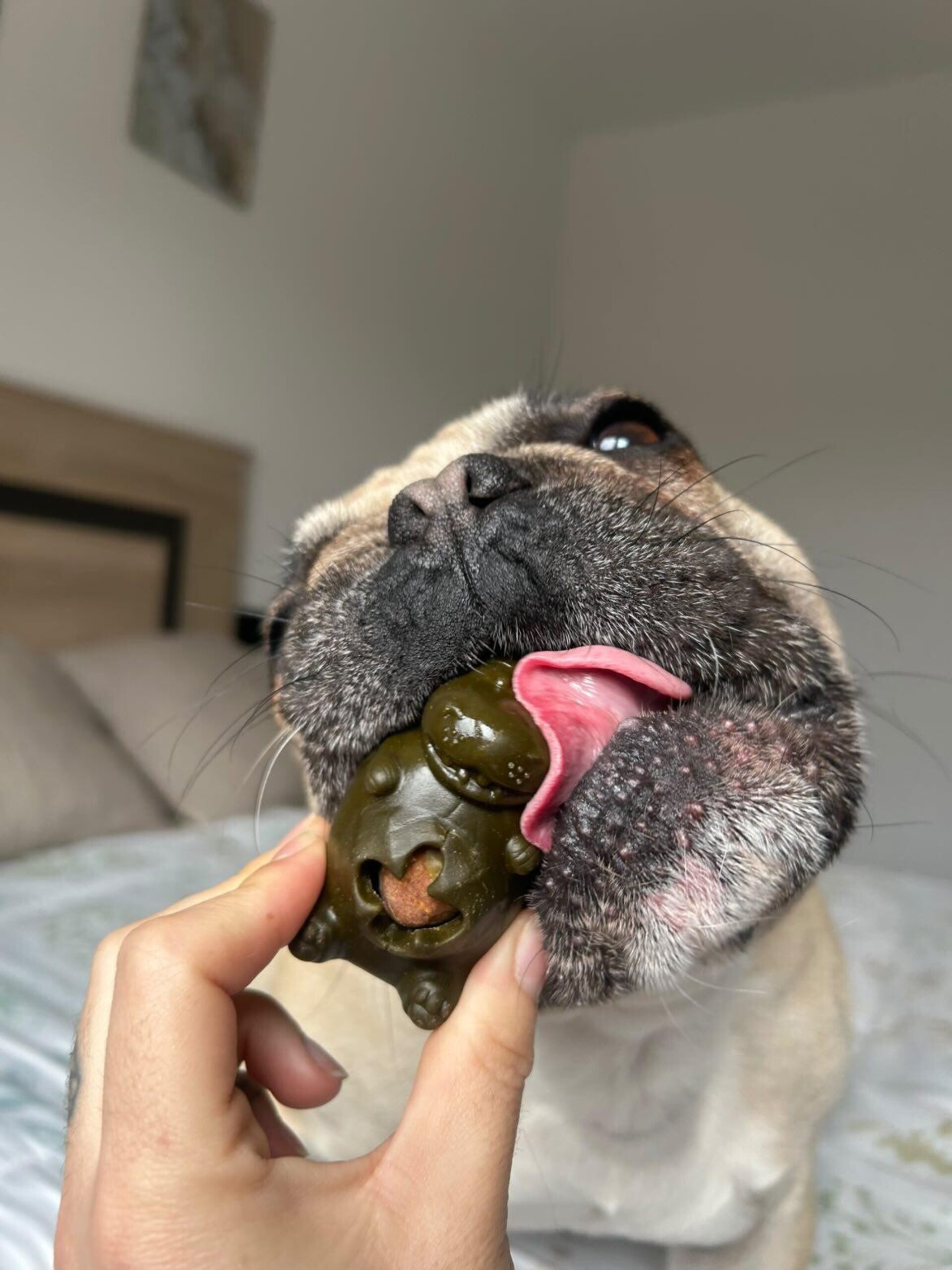 Snack dental perros, Osito y Rinoceronte Pollo con Verduras - 2