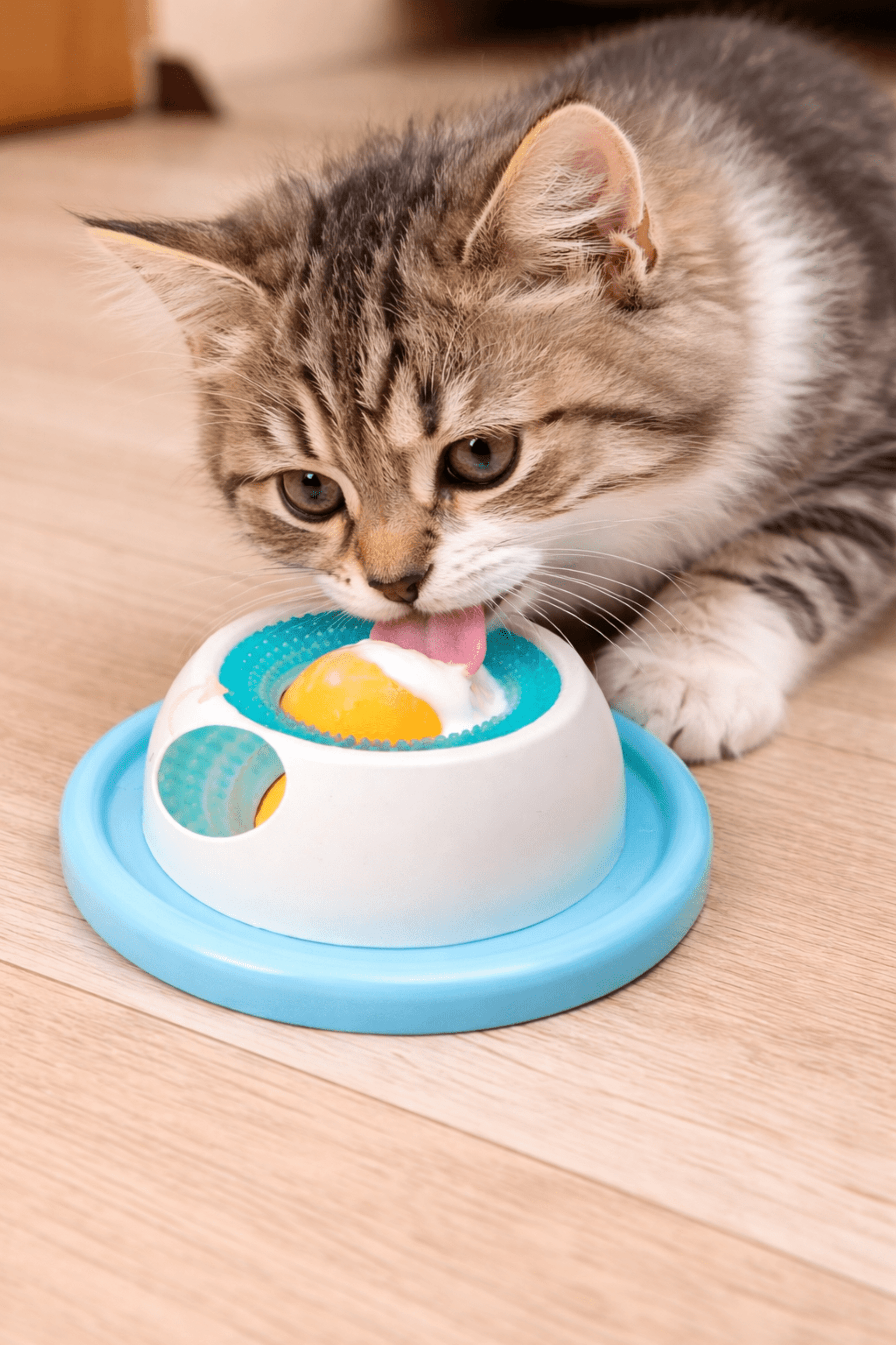 Kit Express Relax –  perros y gatos - 5