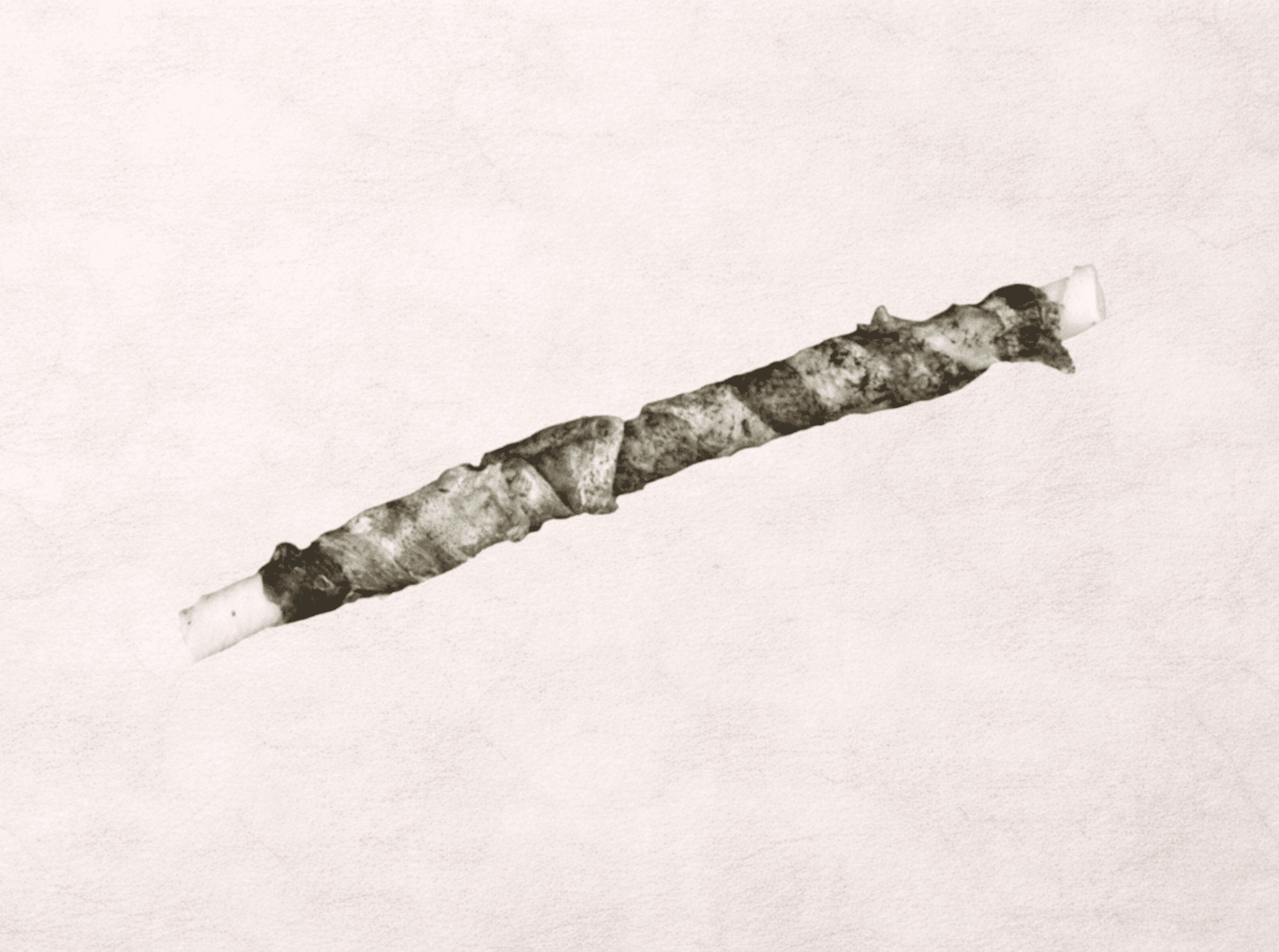 Palitos con piel de bacalao snack perros - 1