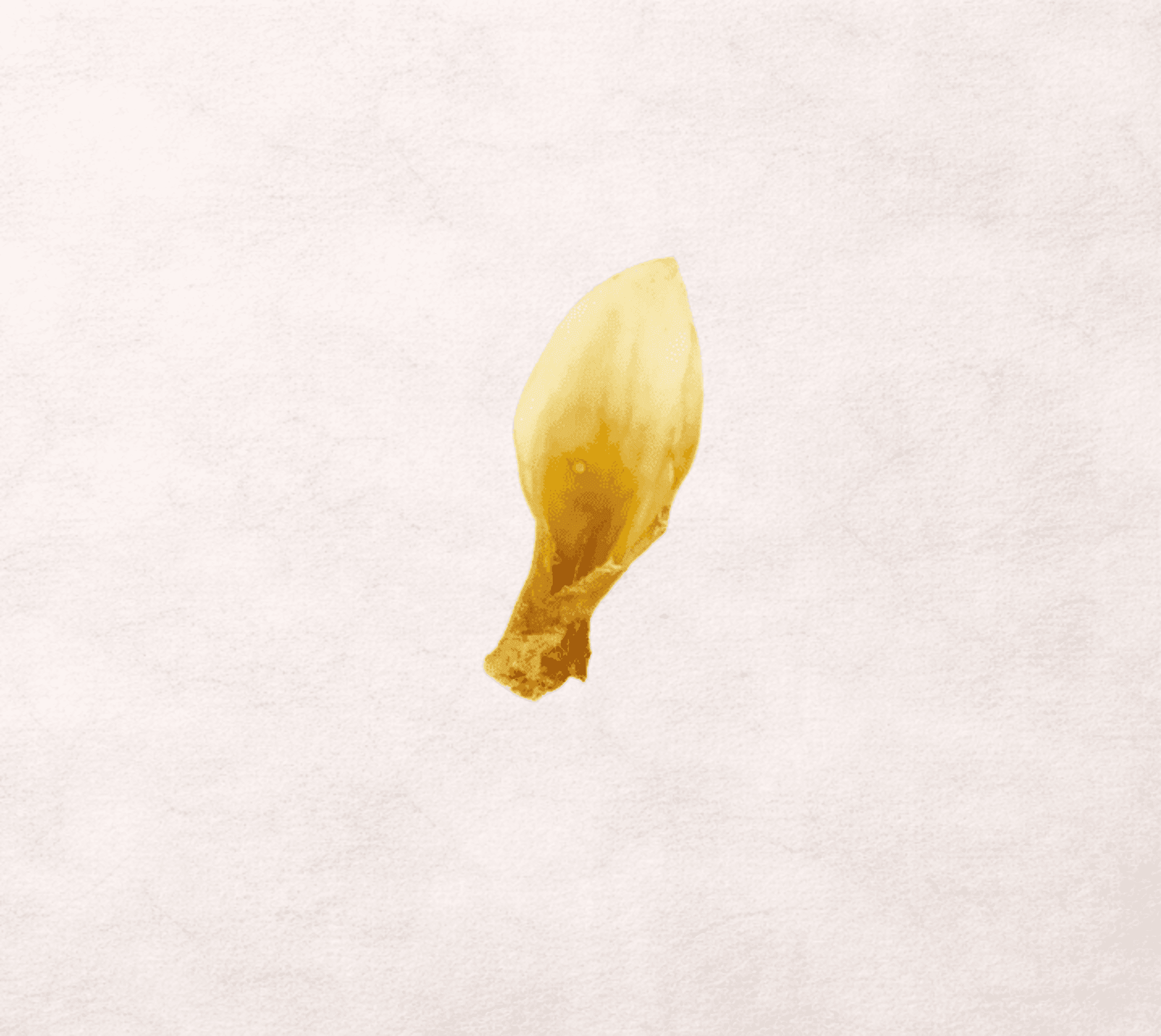 Orejas de cordero Nature Label - 2