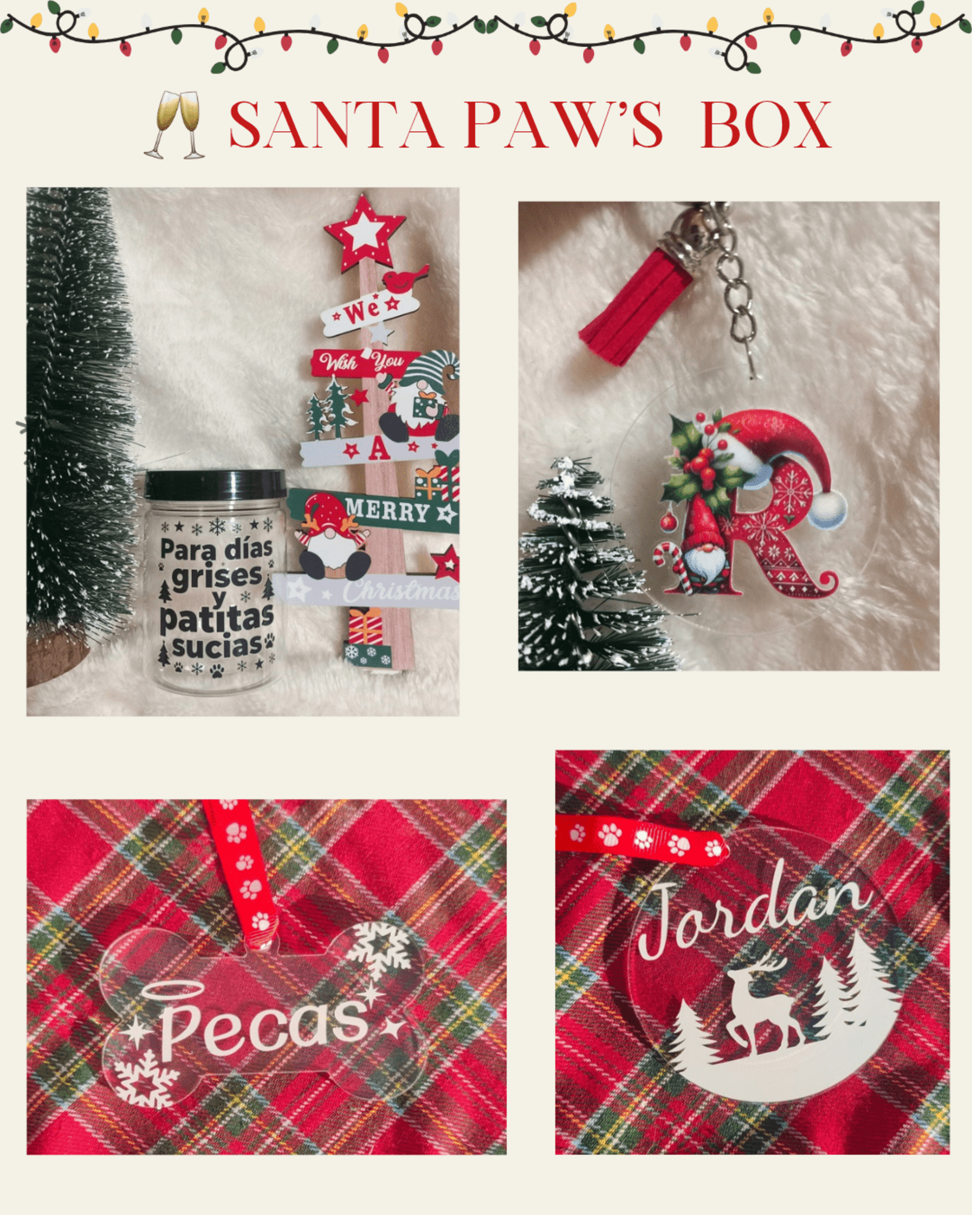 Santa Paw’s Box - 2