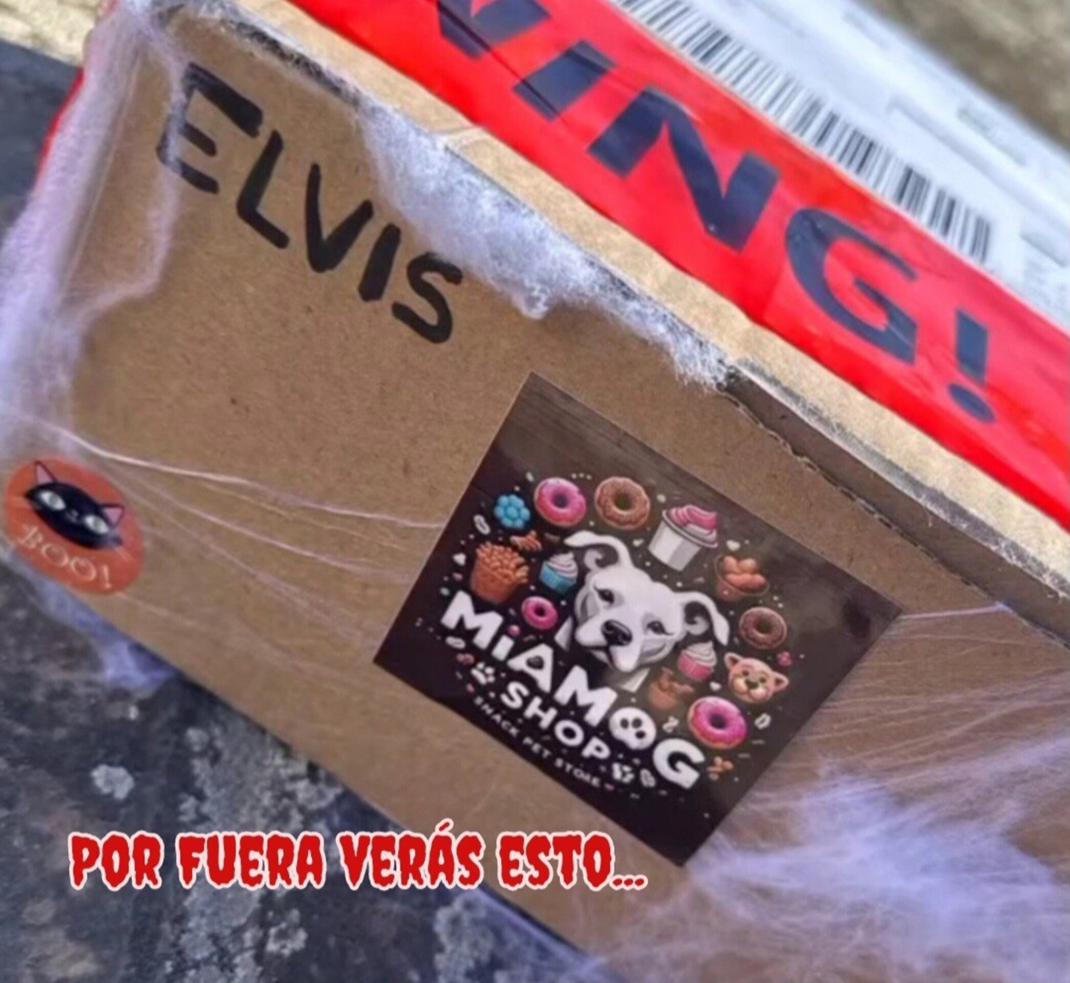 Cajitas  halloween perro y gato - 3