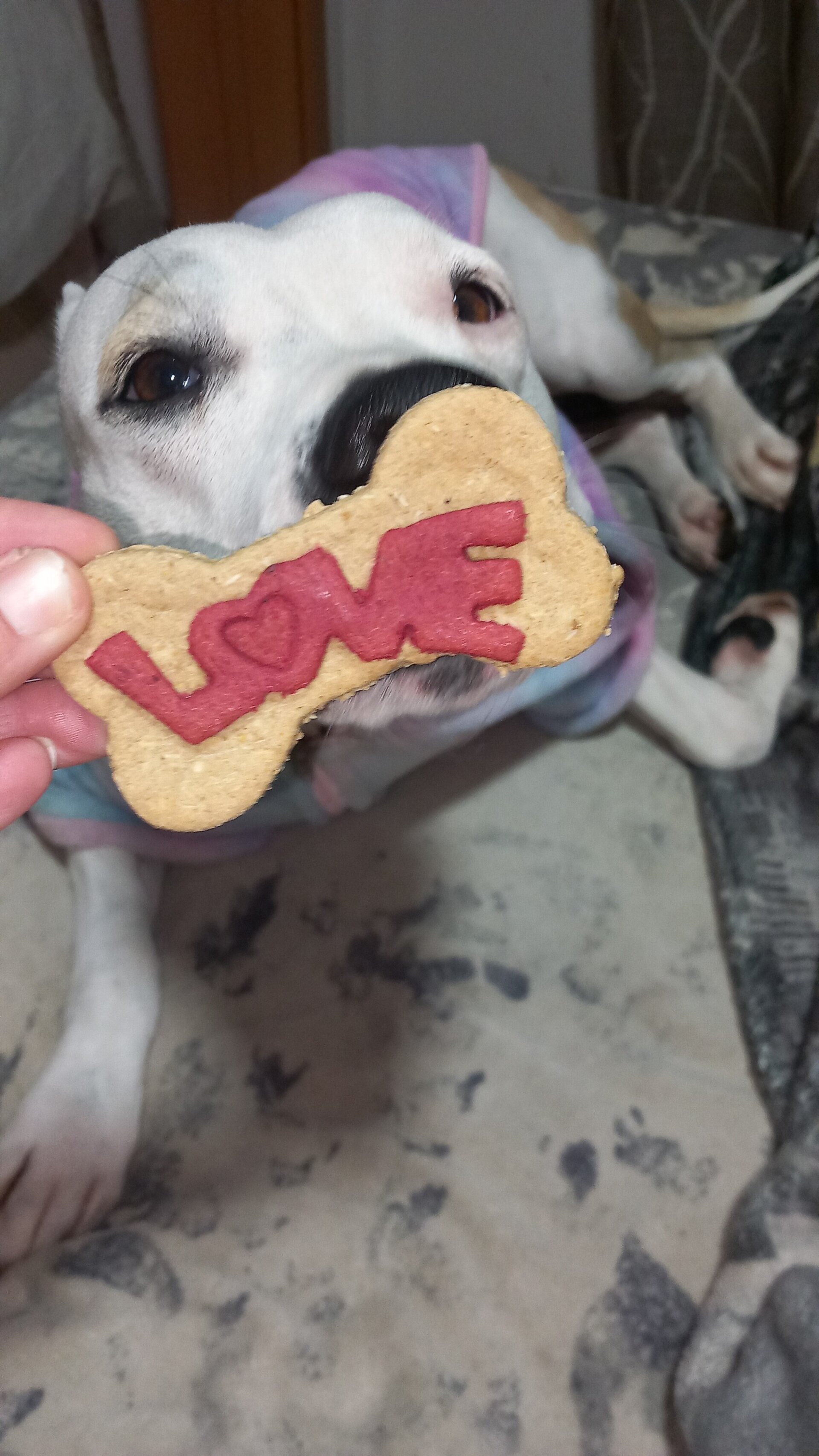 Galleta hueso love - 2