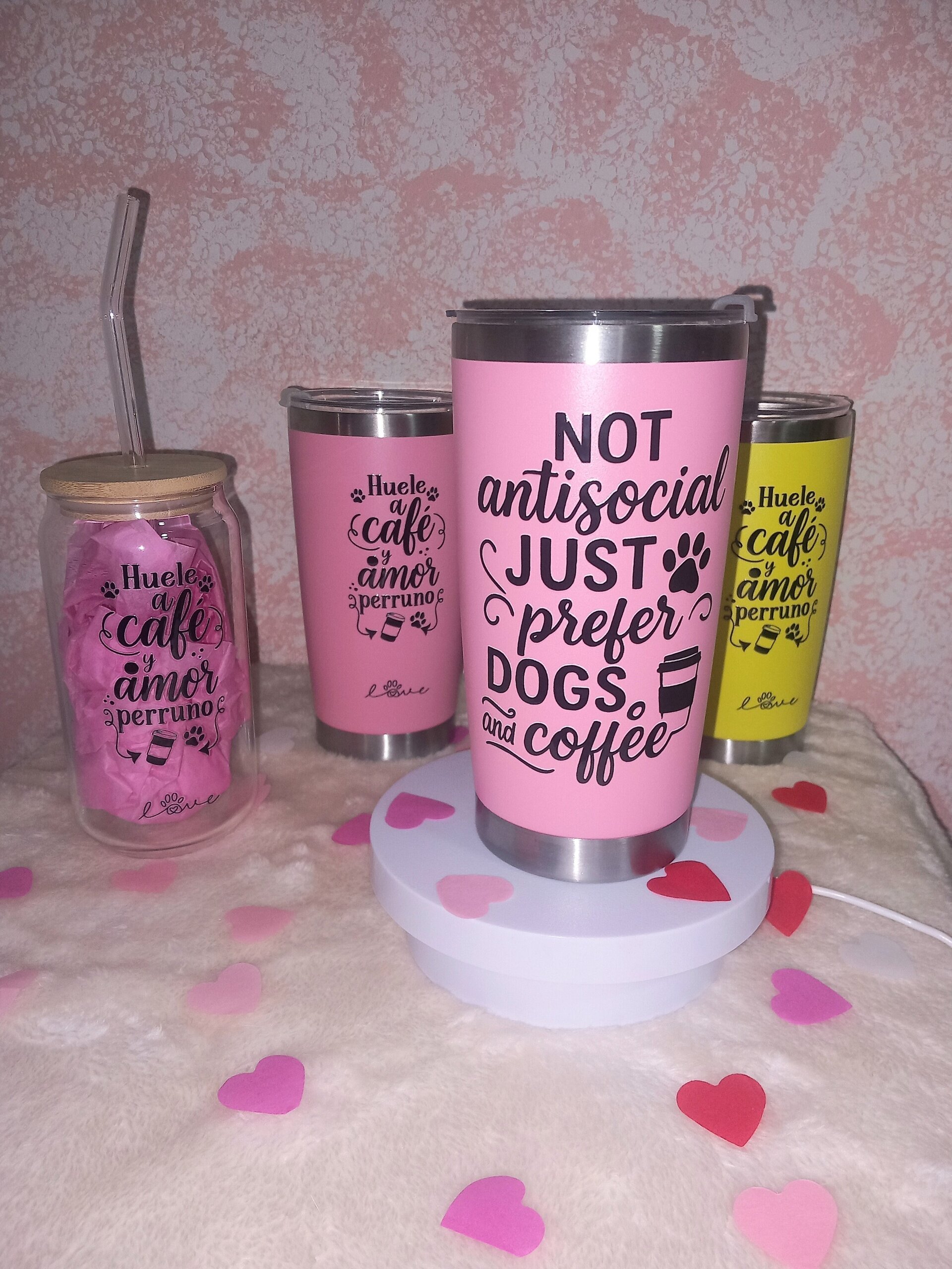 Caja San peludin perro - 3