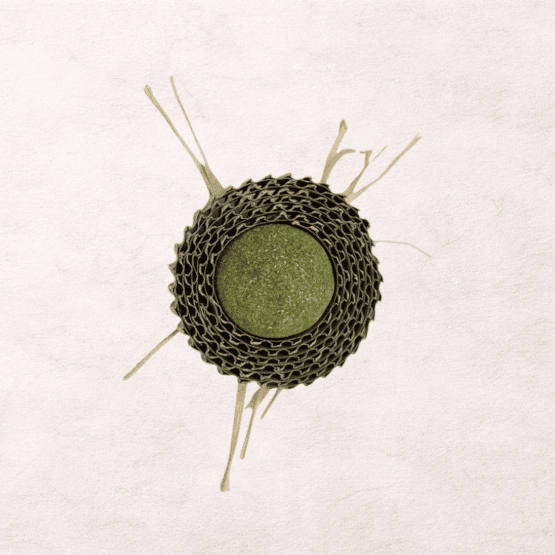 KittyMasters Pelota Rascador con Catnip - 2