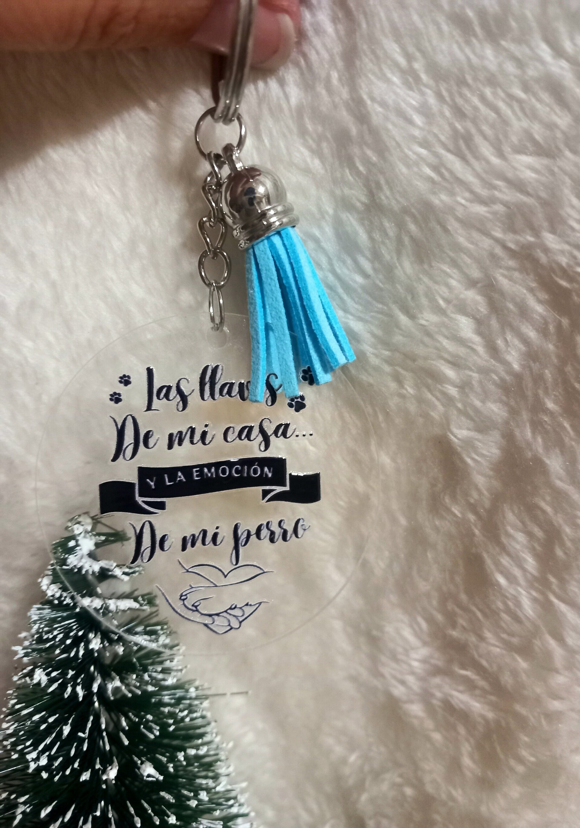 Llavero las llaves de mi casa y la emocion de mi perro - 1