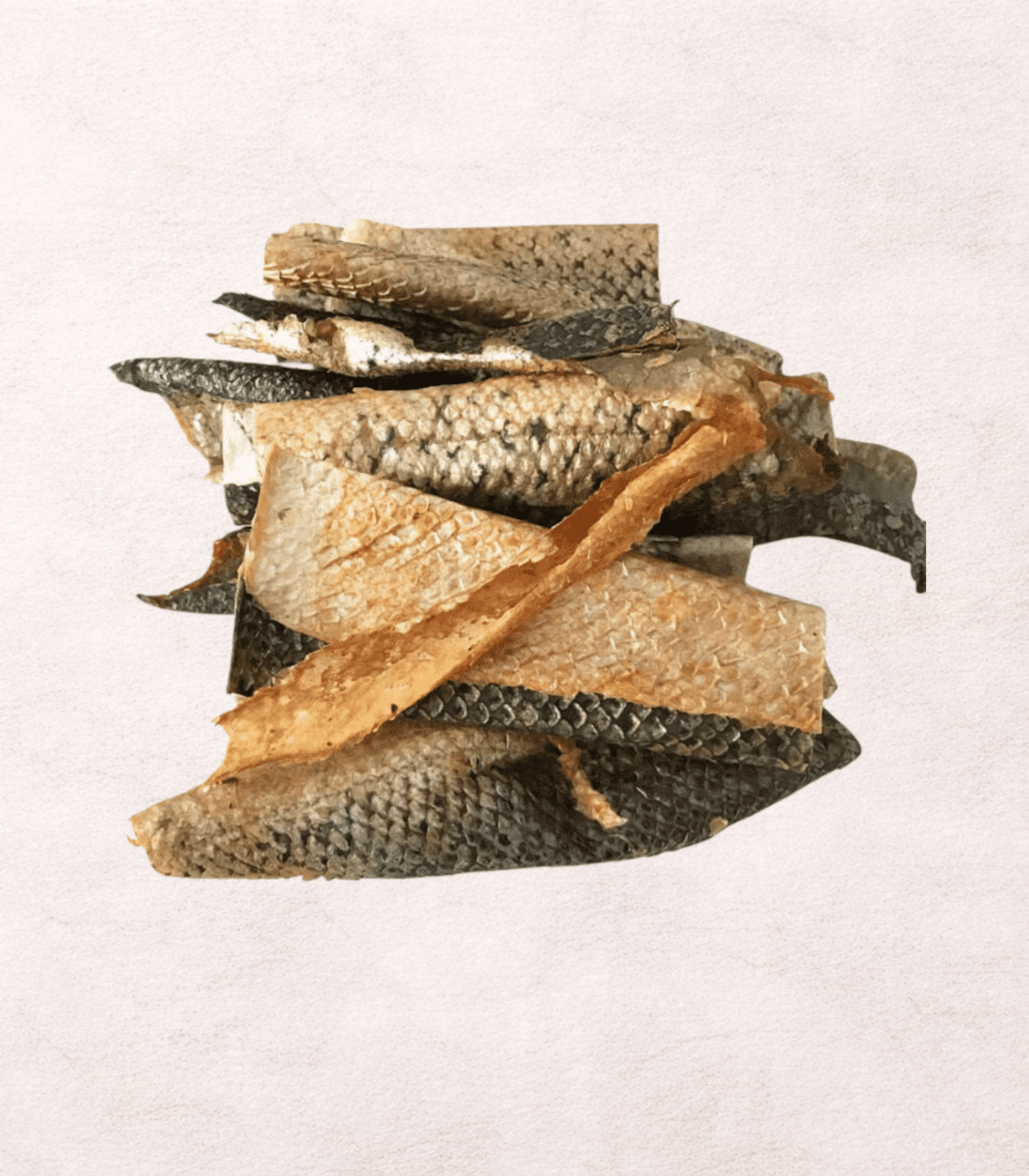 Piel de salmon snack deshidratado perro - 1