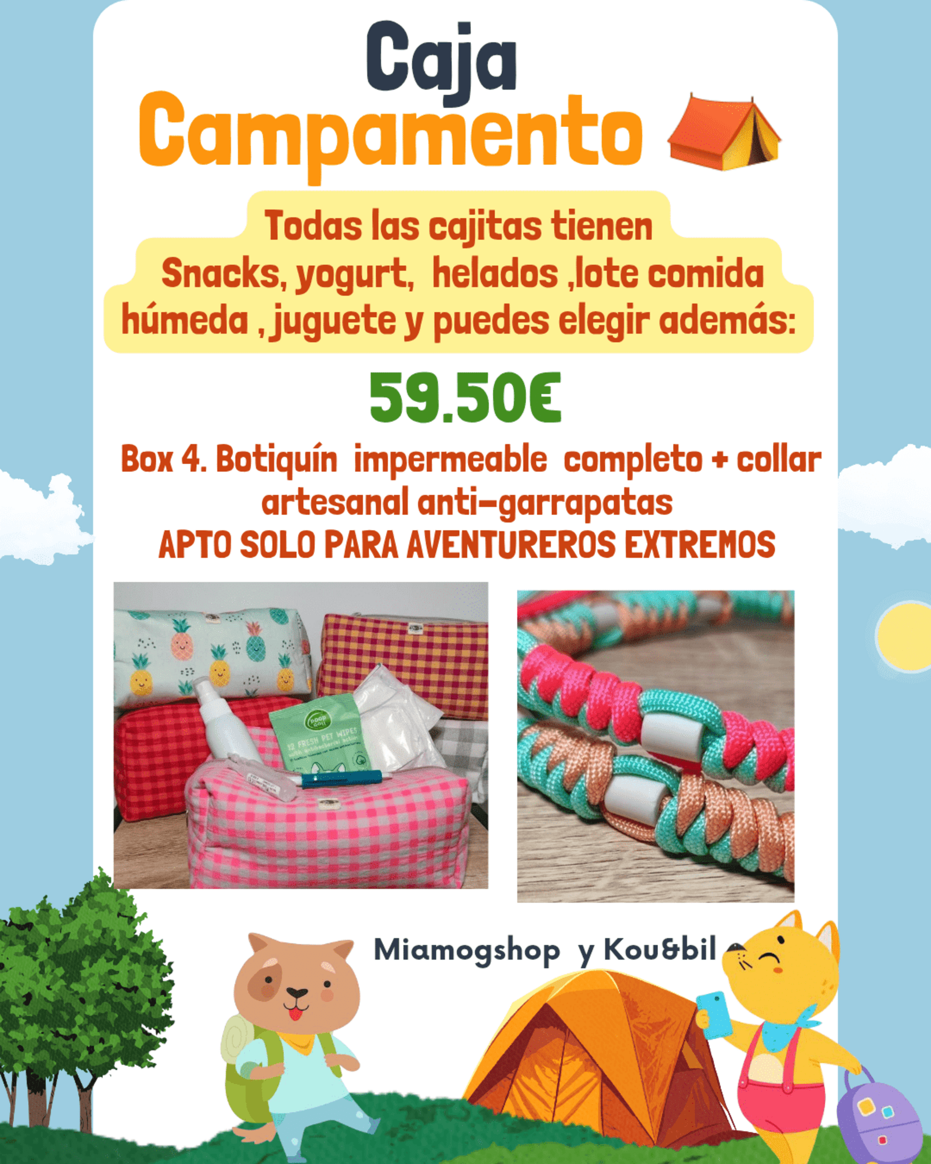Caja campamento ⛺️ - 5