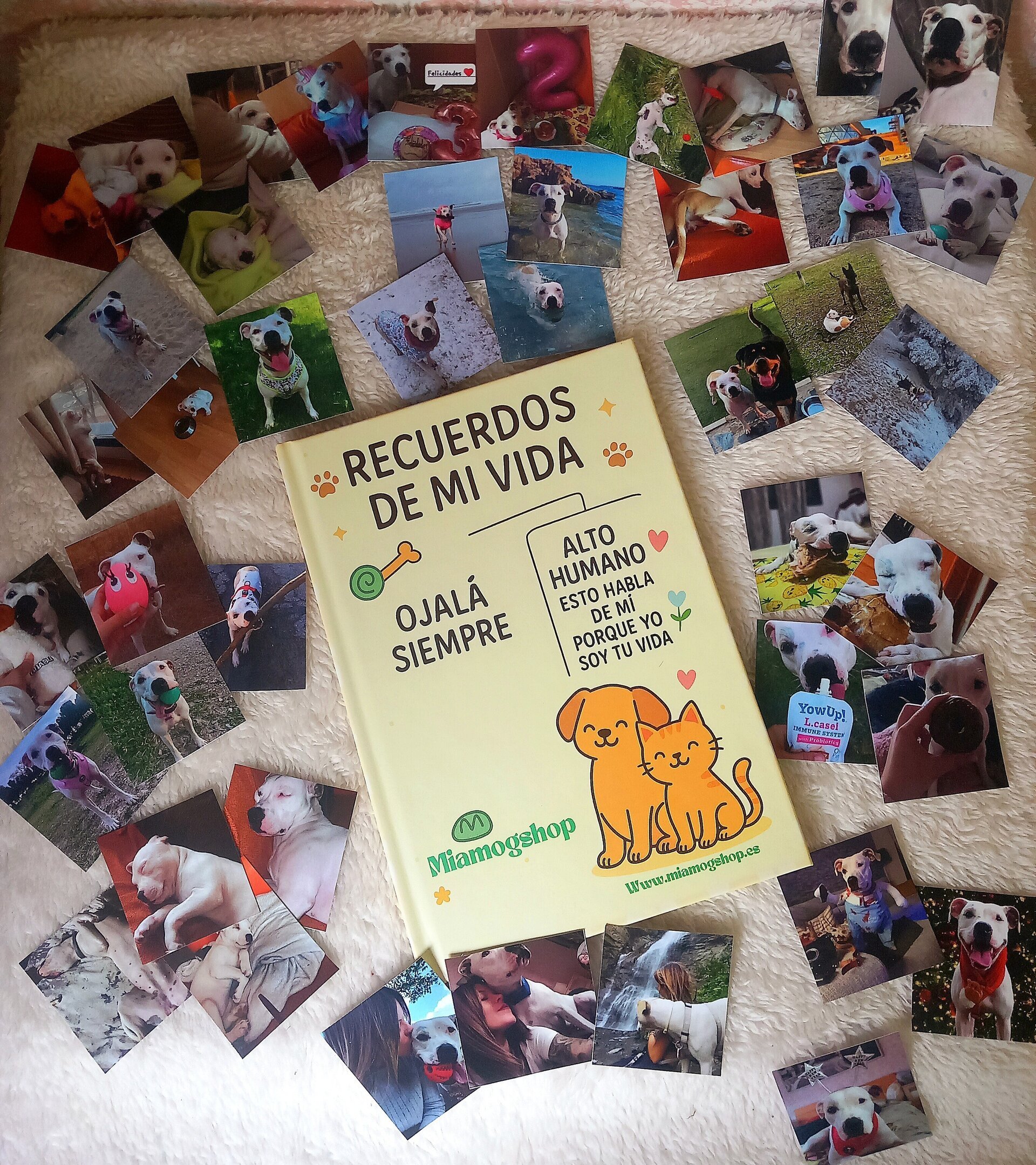 Libro de Recuerdos para Mascotas – Personalizado - 6