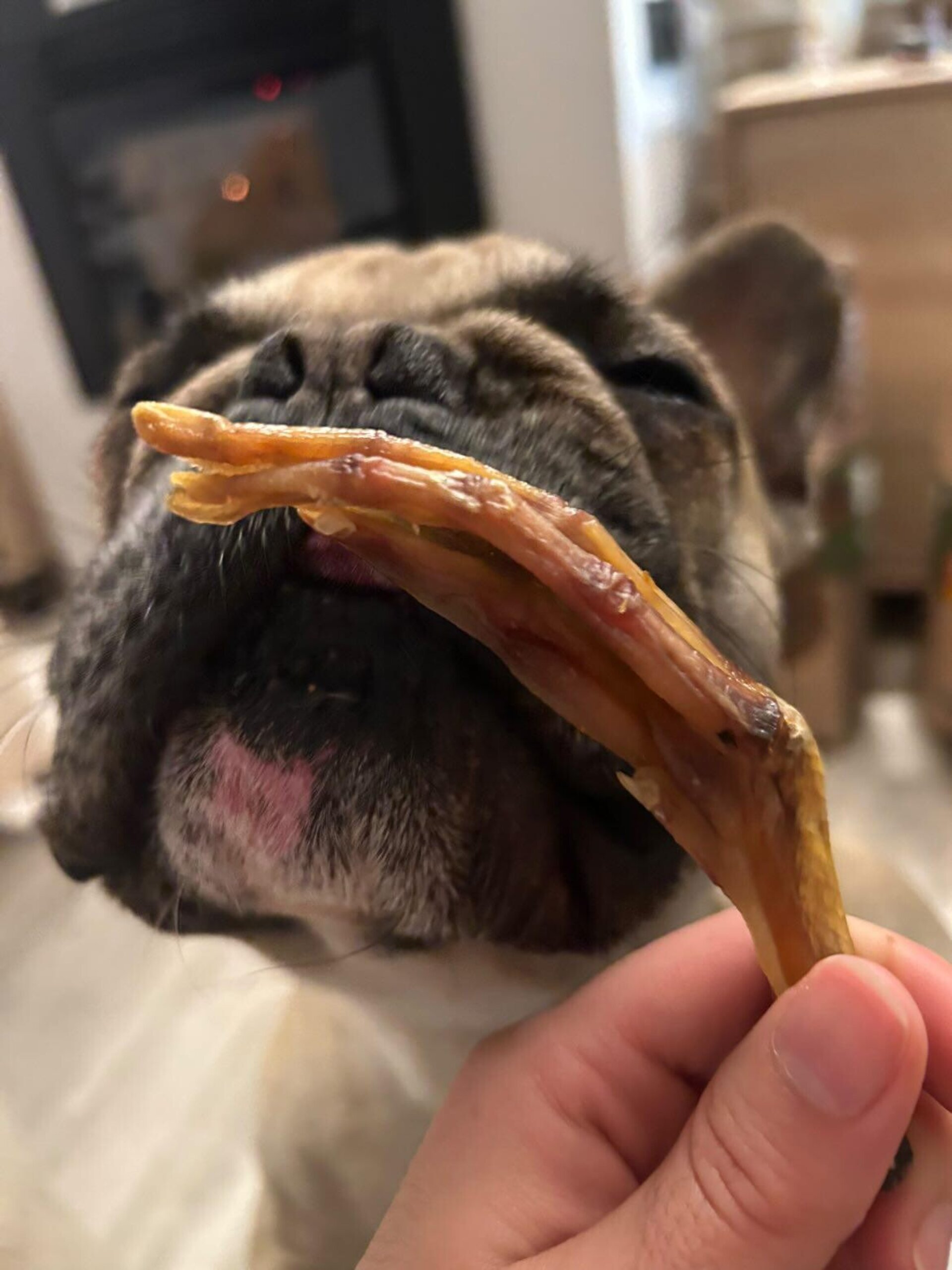 Snack  natural Patas de Pato  perro 200gr - 1