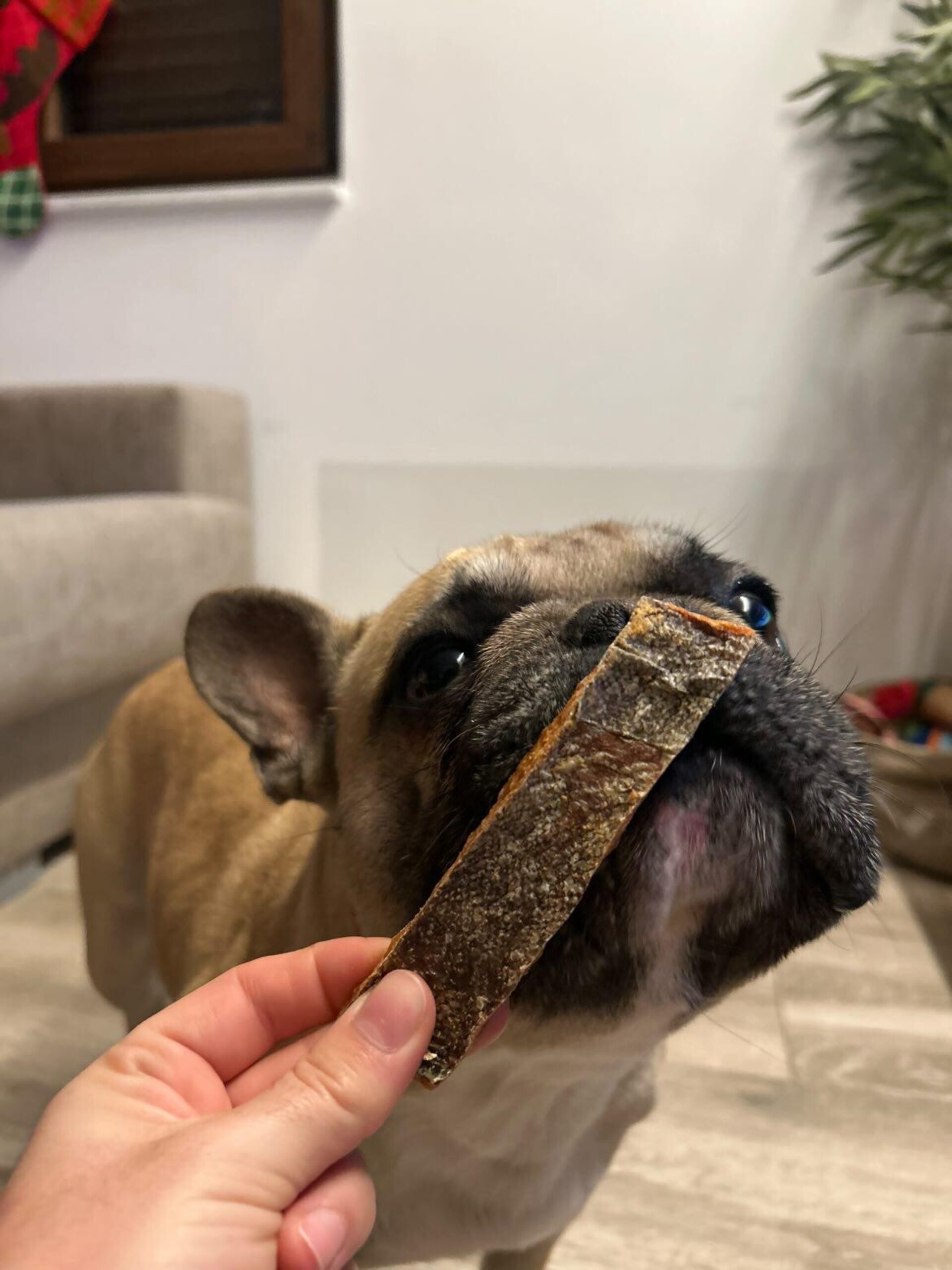 DOKAS SALMON EN TIRAS - 1