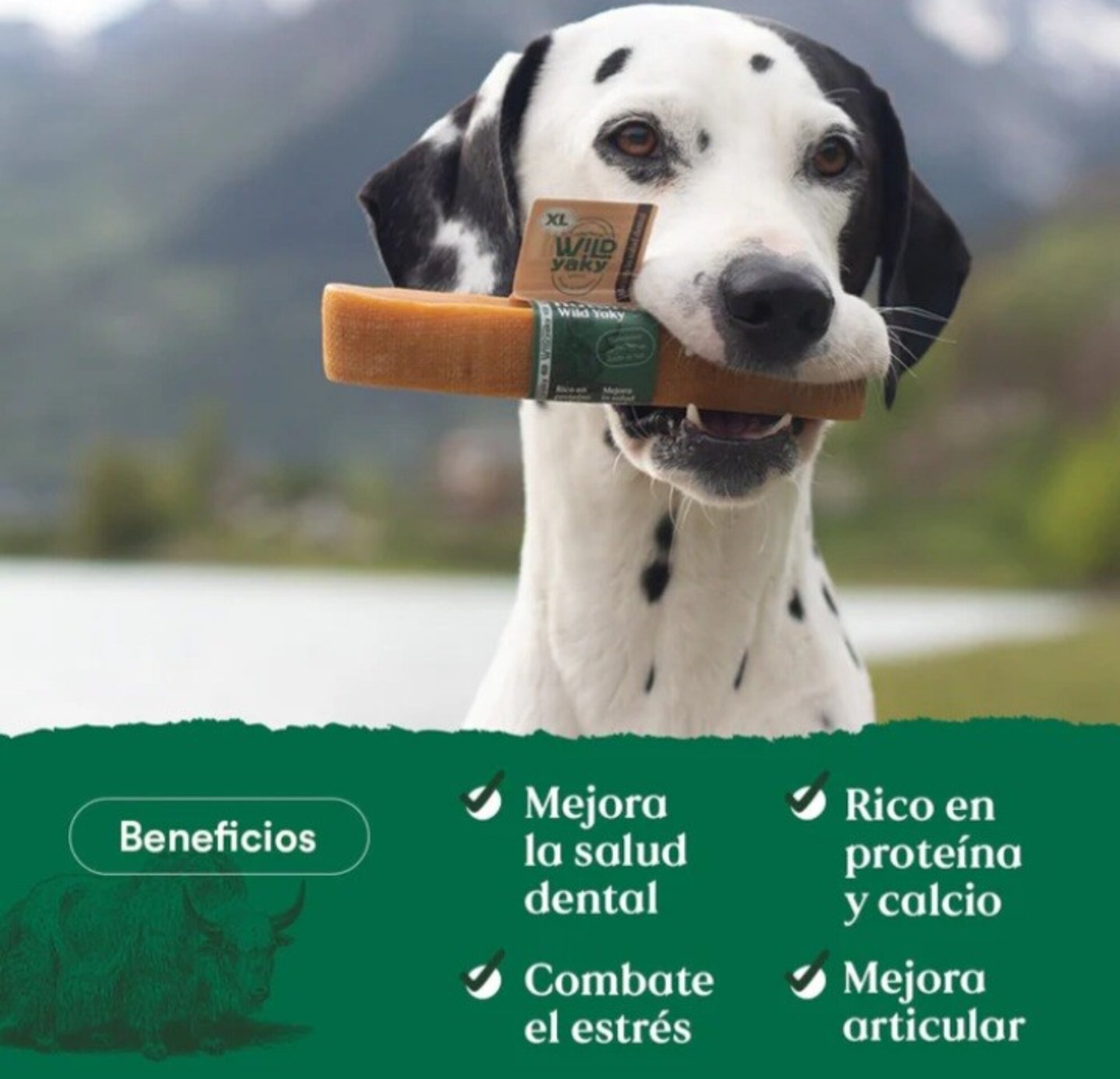 Wild Yaky Golden – Barrita de Leche de Yak del Himalaya con Cúrcuma - 3