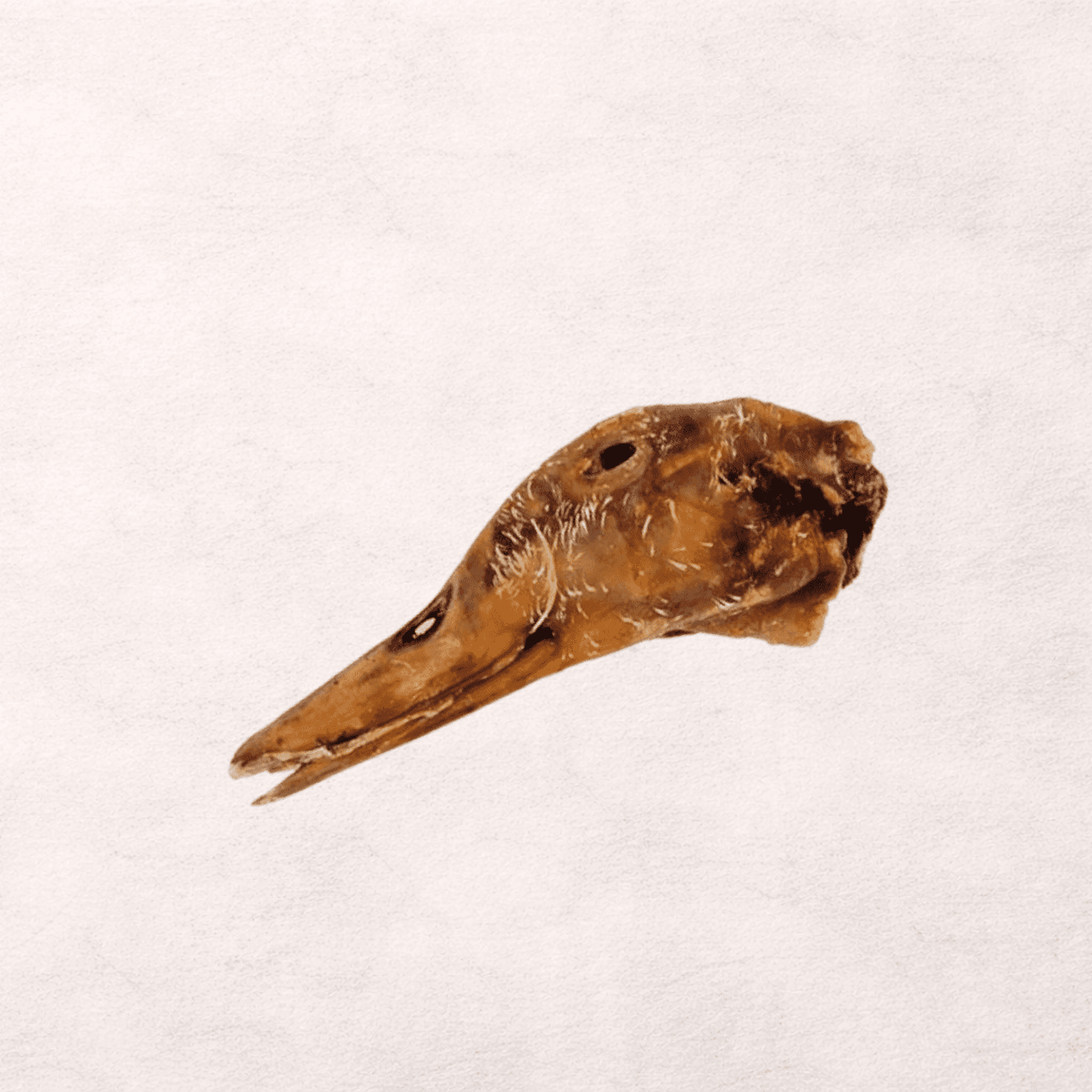 Cabeza de pato deshidratada snack perro - 1