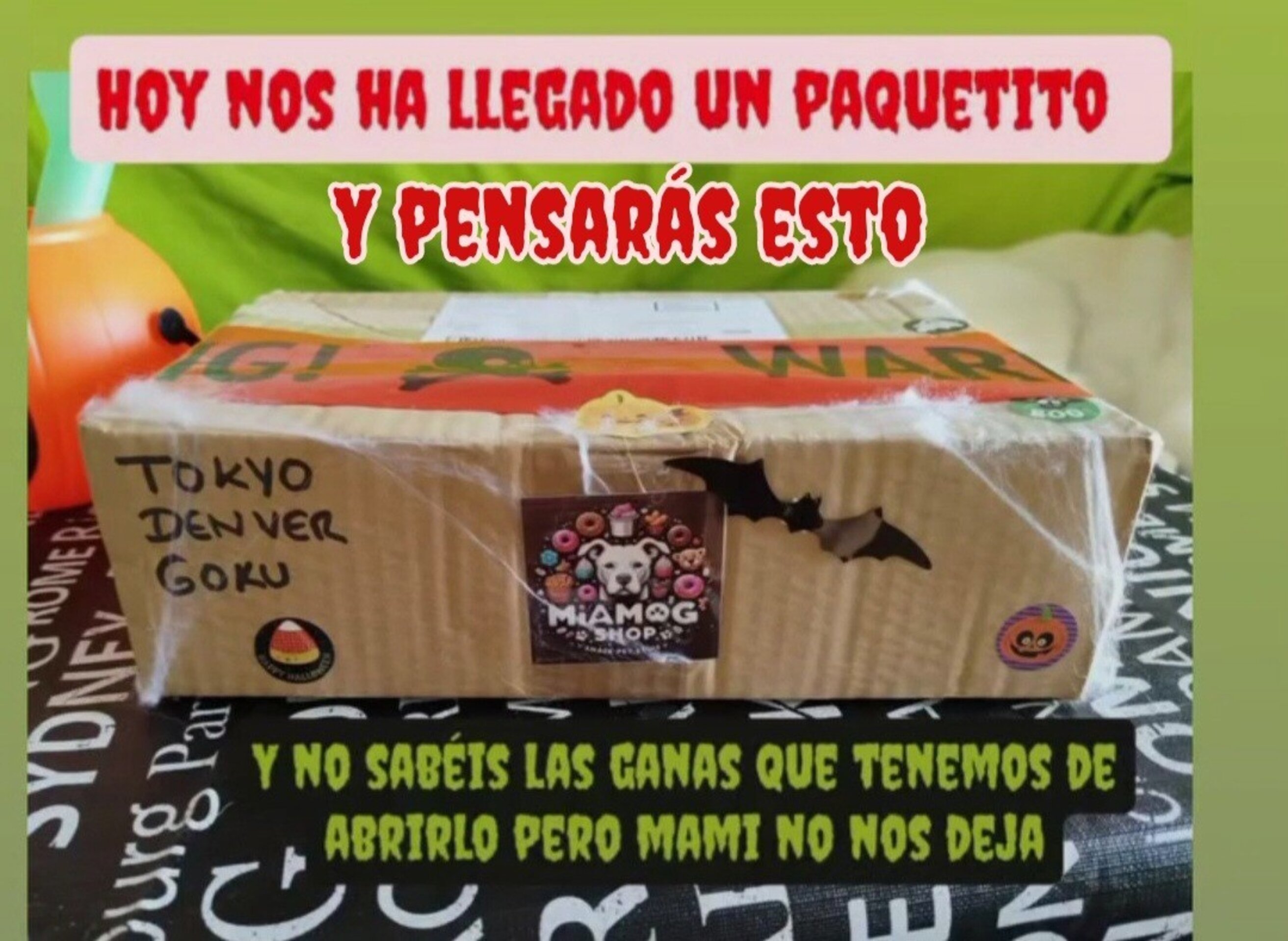 Cajitas  halloween perro y gato - 4