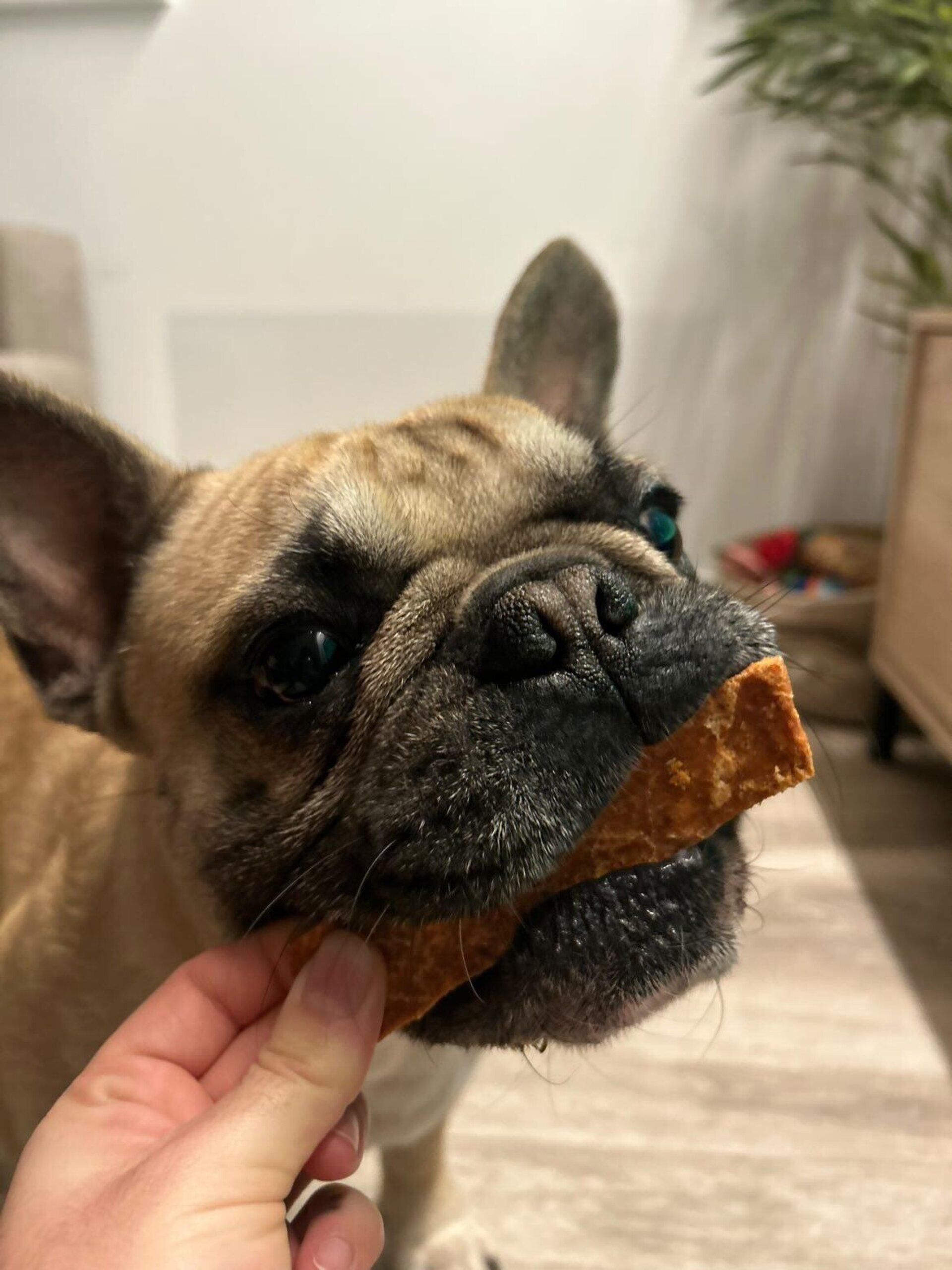 DOKAS SALMON EN TIRAS - 3