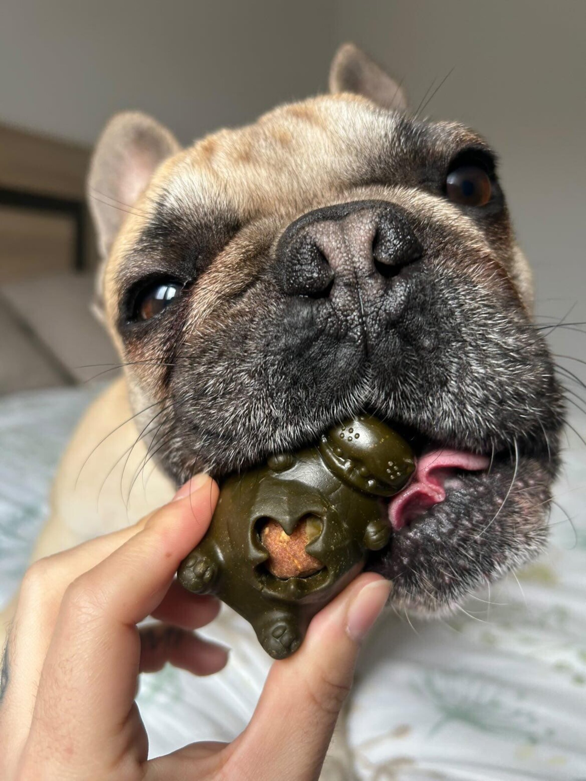 Snack dental perros, Osito y Rinoceronte Pollo con Verduras - 3