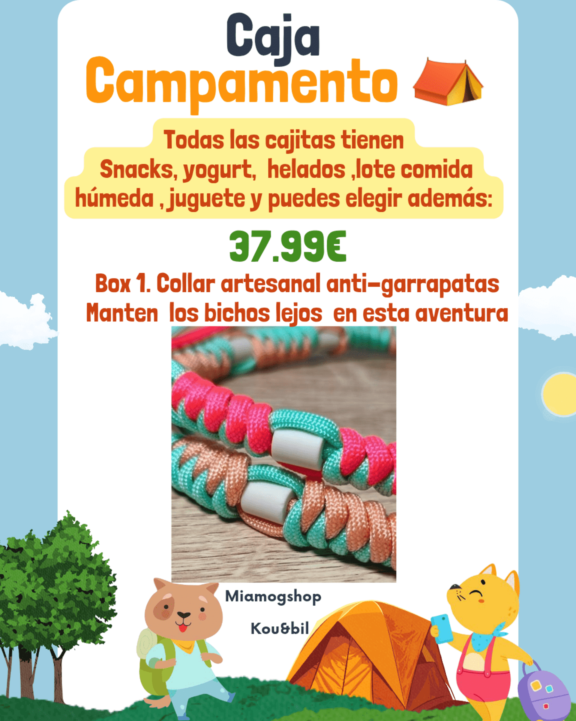Caja campamento ⛺️ - 2