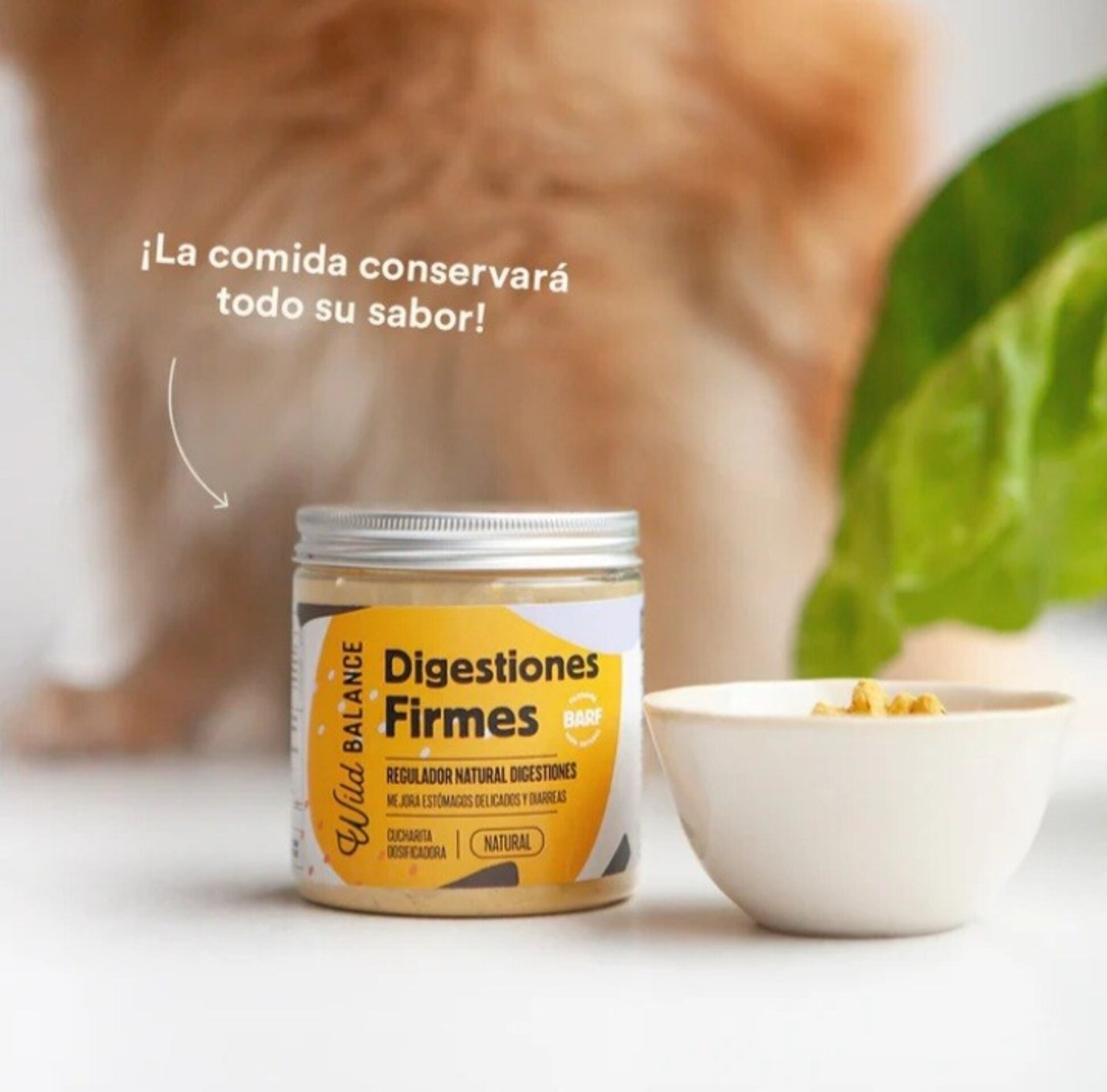 DIGESTIONES FIRMES Prebiótico regulador problemas intestinales - 5