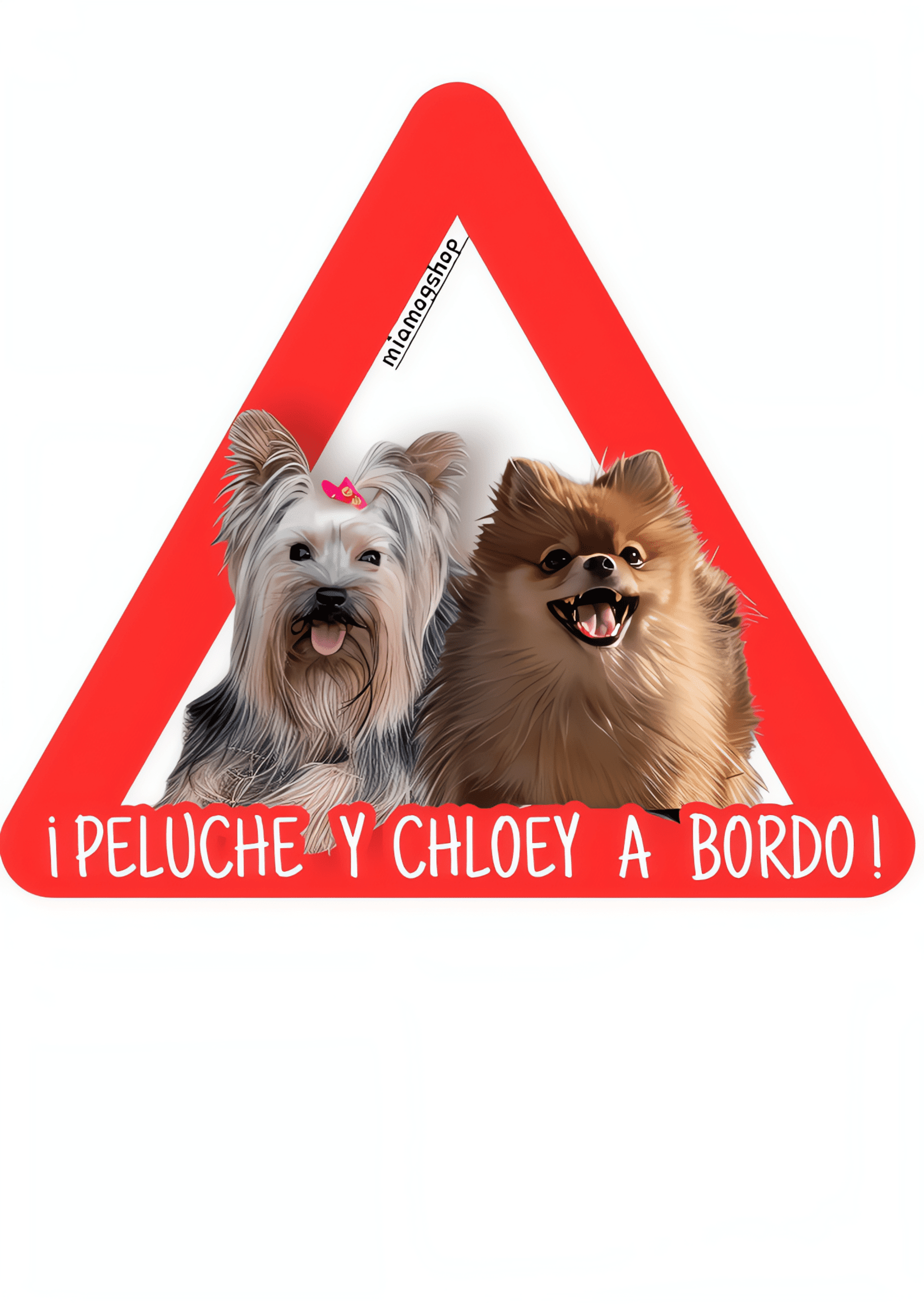 Pegatinas  para coche - 6