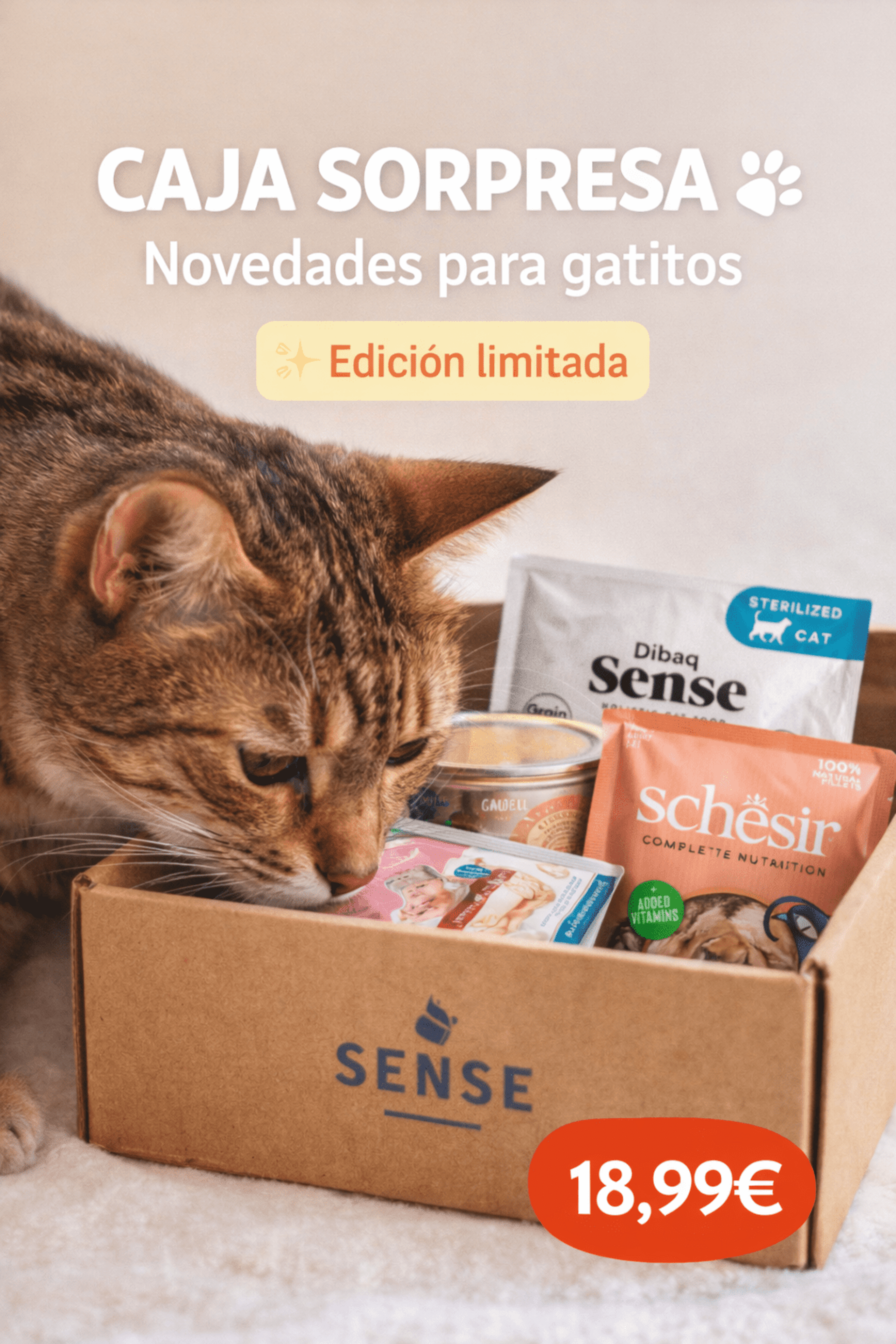 🐱 Caja Sorpresa · Novedades Gatito - 1