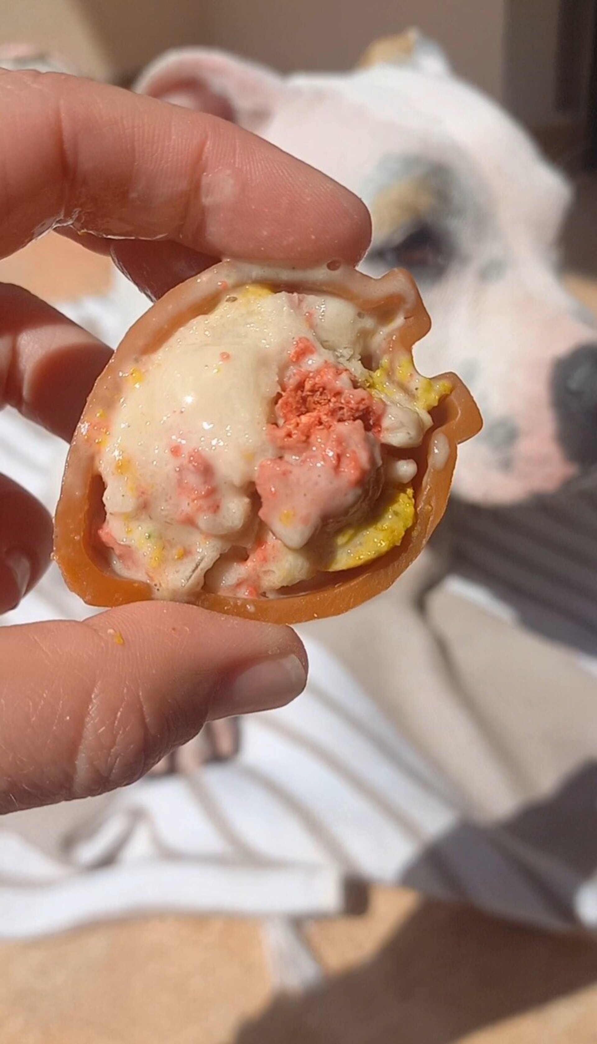 Helado de DogM&M para perros y gatos para hacer en casa - 2