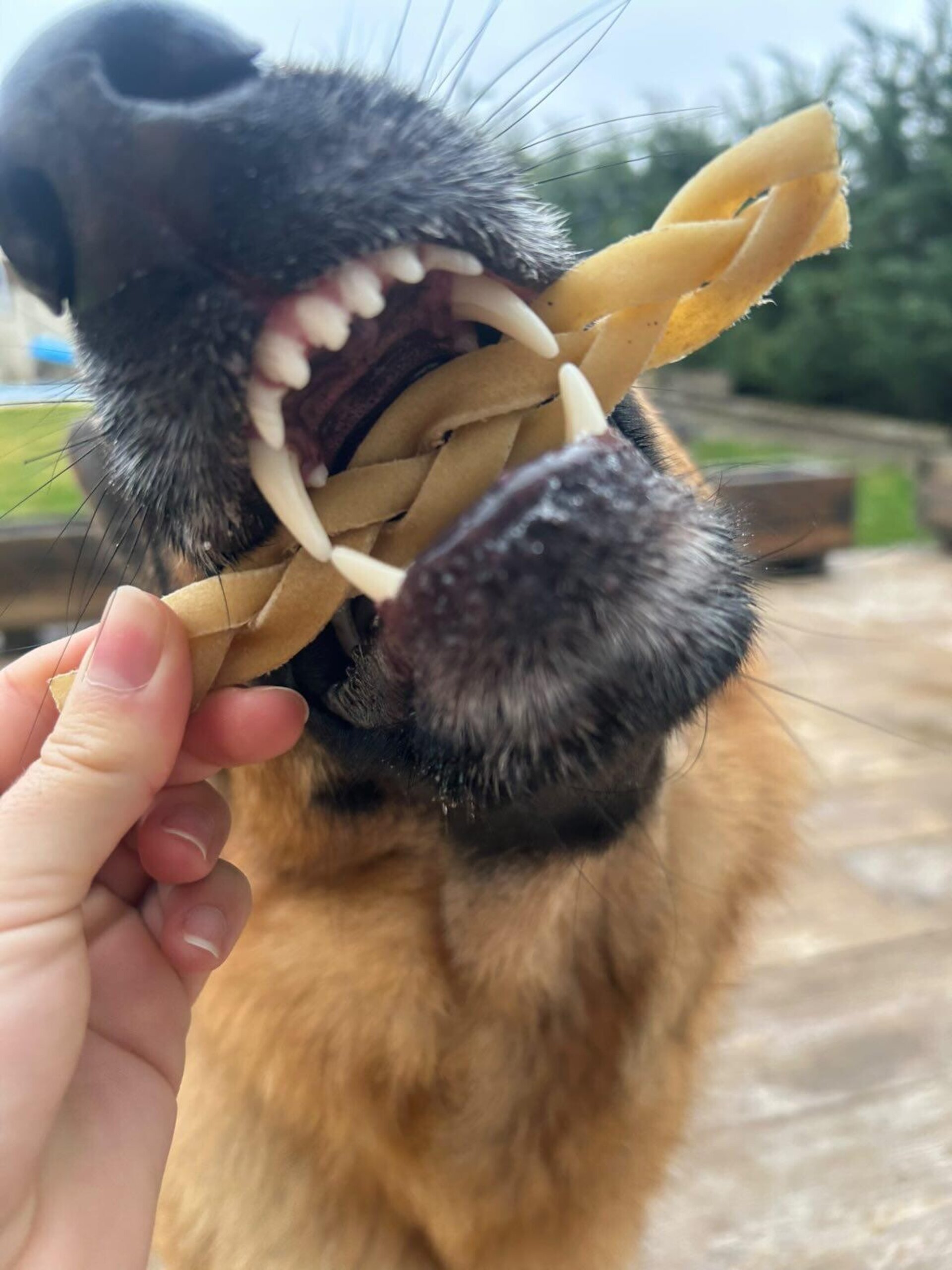 Trenzas de Búfalo, 100g - 2