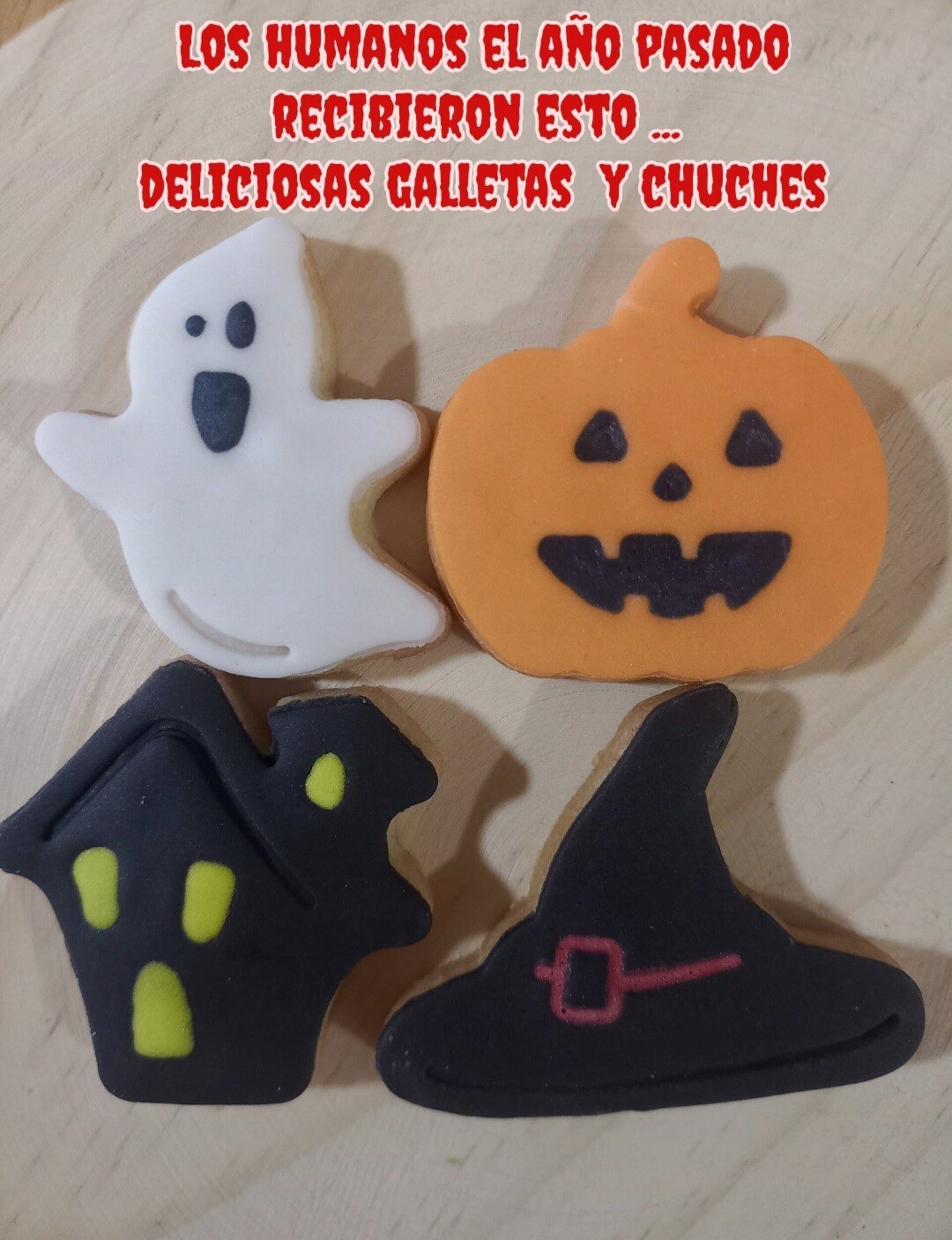 Cajitas  halloween perro y gato - 9
