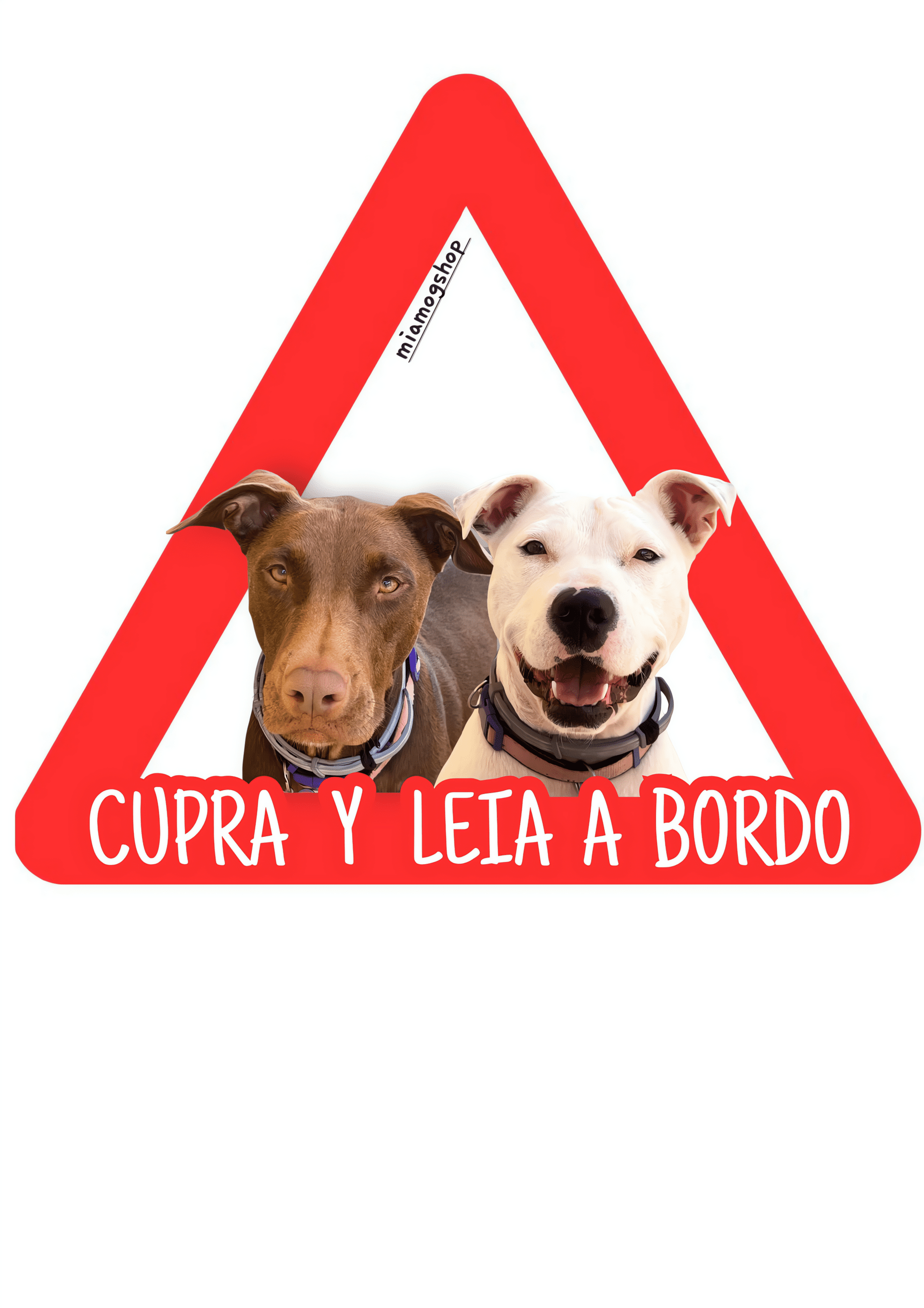 Pegatinas  para coche - 5