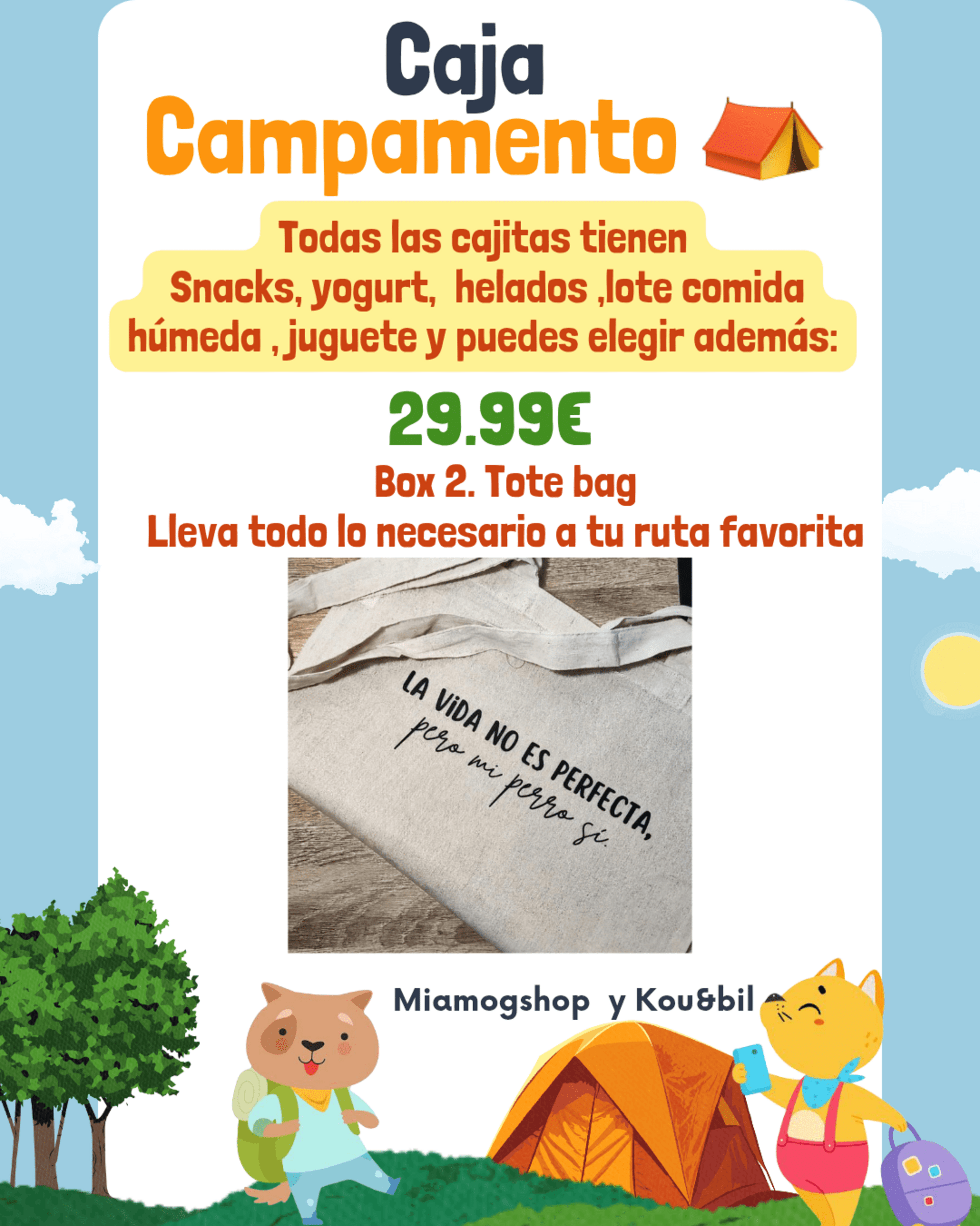 Caja campamento ⛺️ - 3