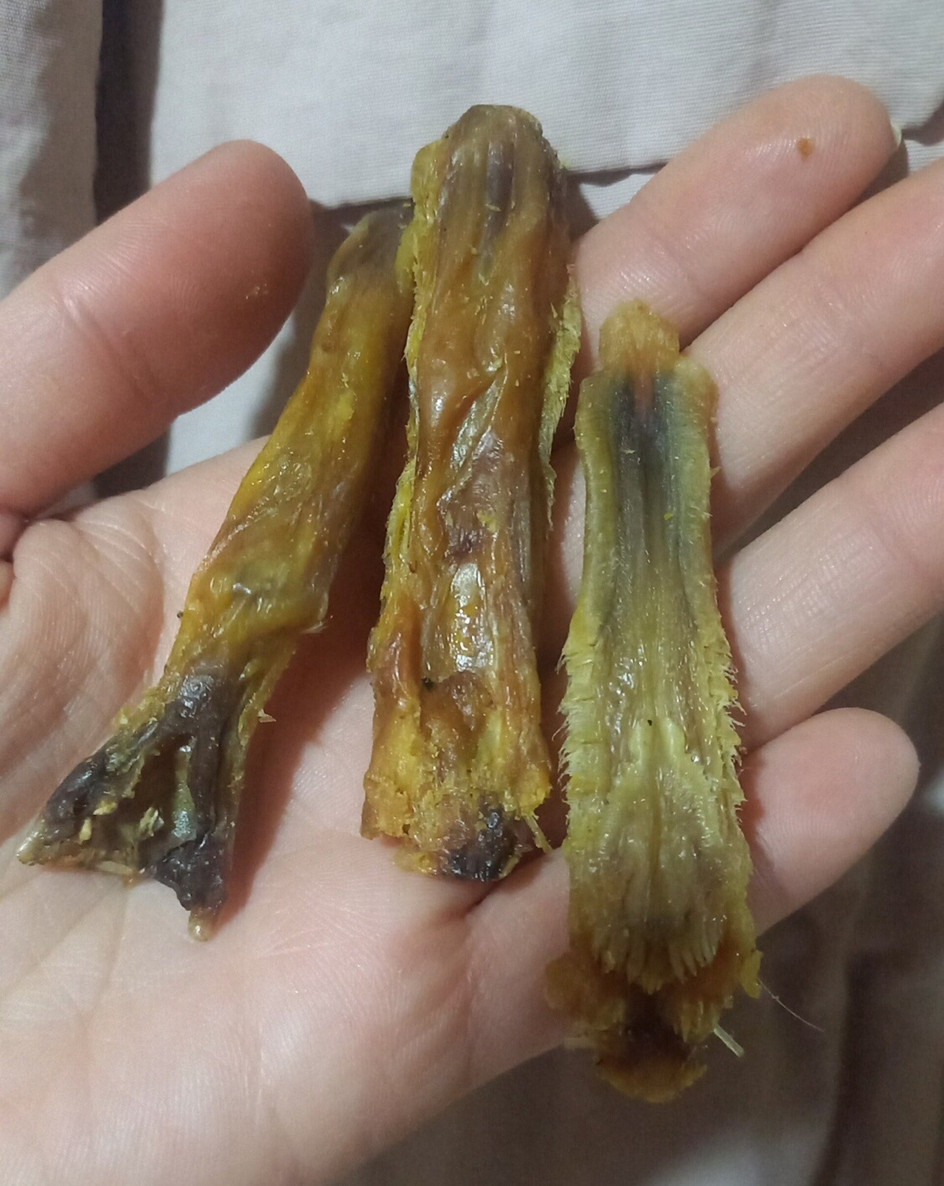 Lenguas de pato - 3