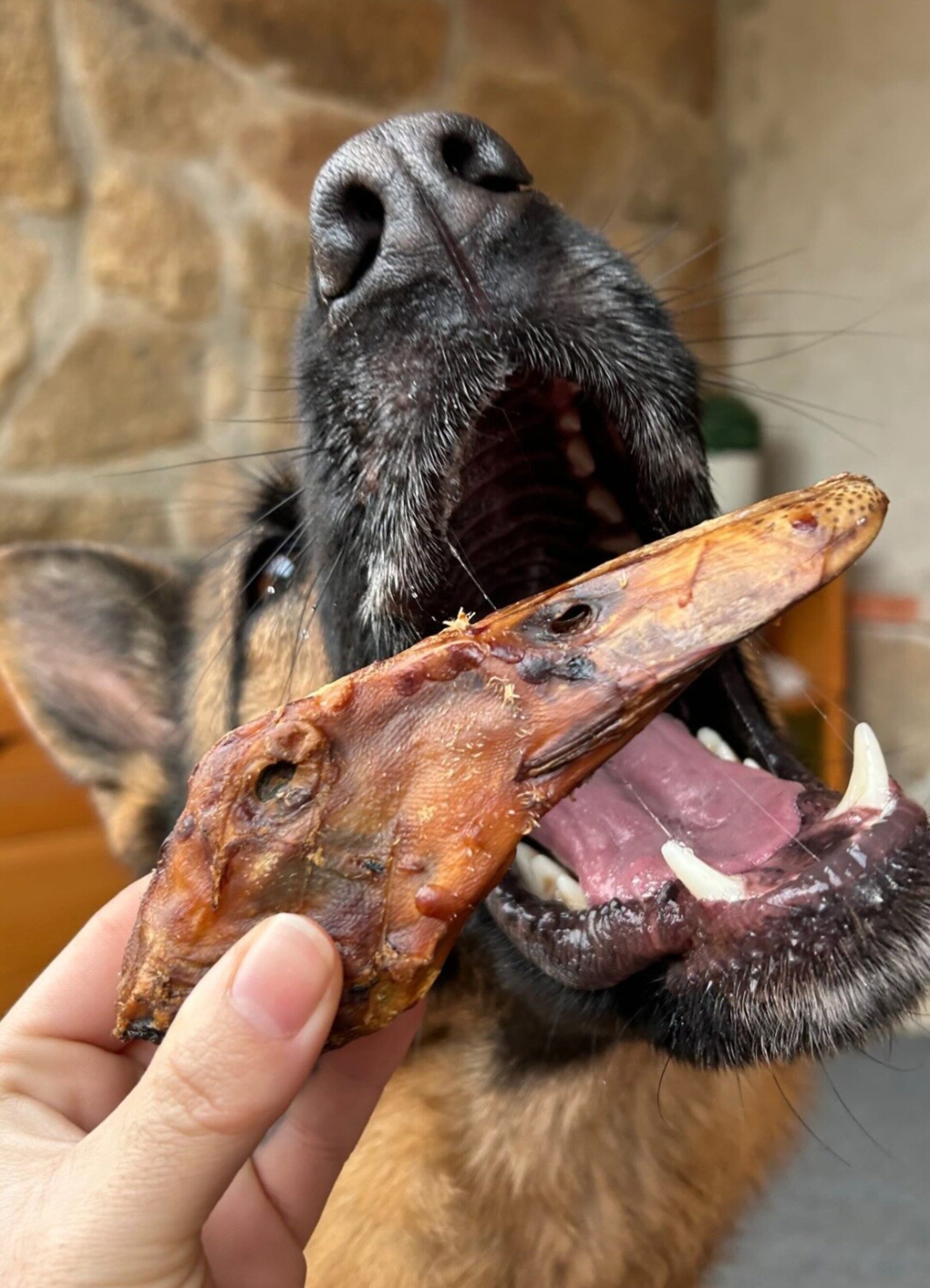 Cabeza de pato deshidratada snack perro - 2