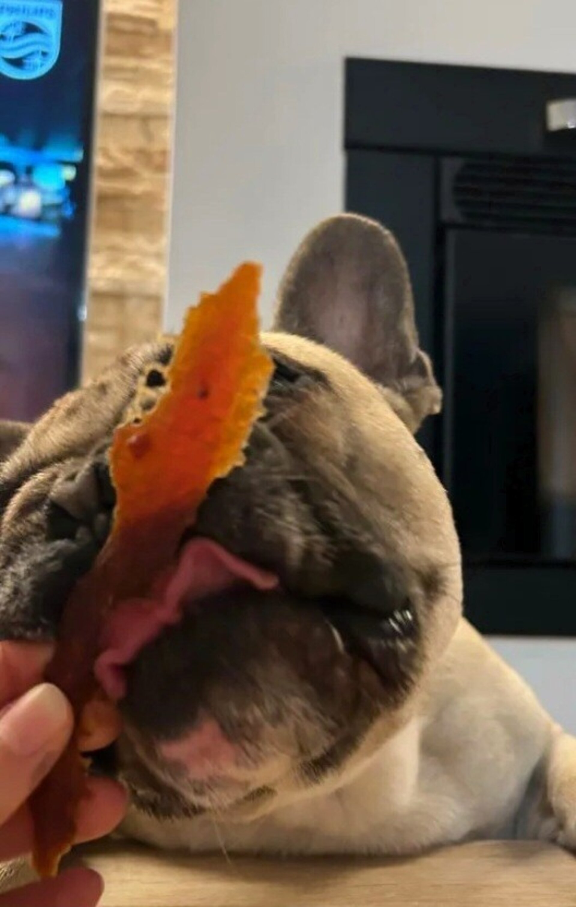 Delicia de pato snacks perros y gatos - 2