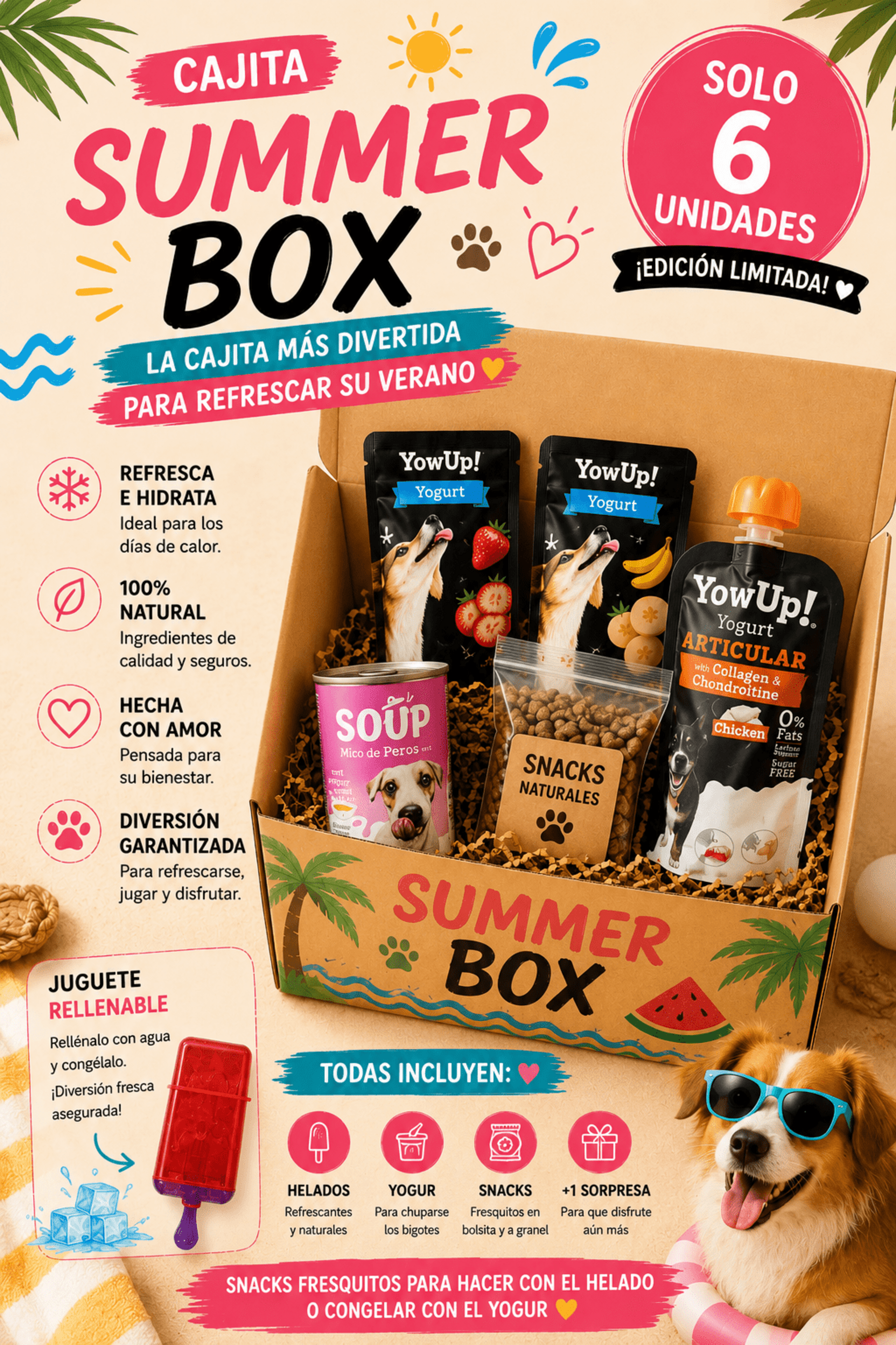 ☀️ SUMMER DOG BOXES ☀️ - 2