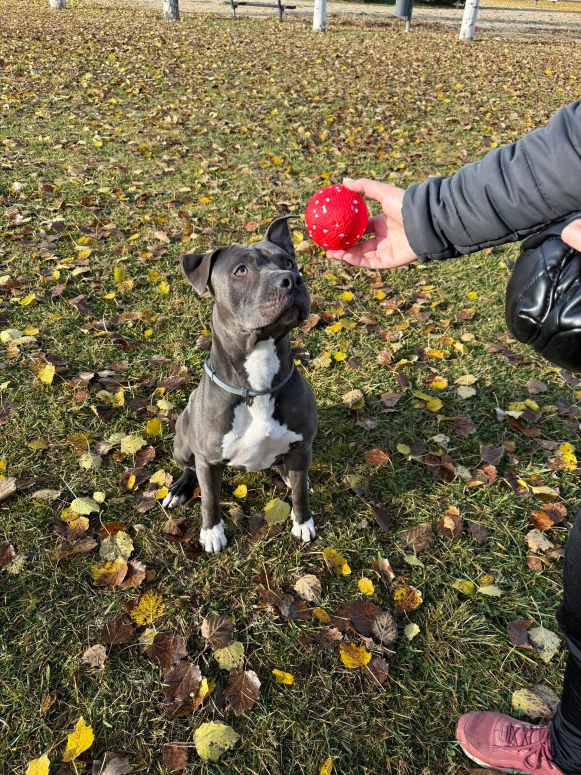 Bubimex Pelota Ultra Resistente E-TPU - 3