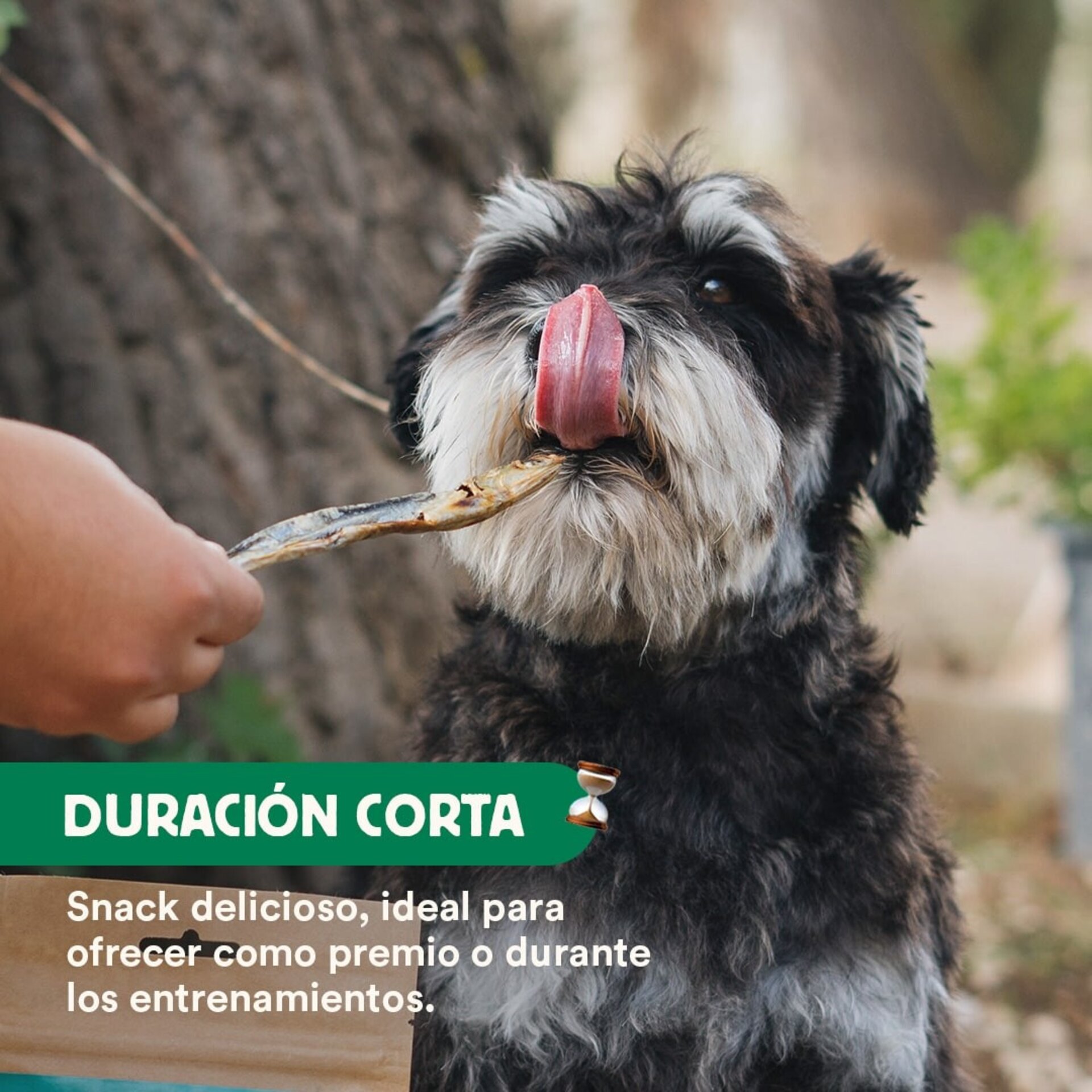 Boquerones deshidratados  para perros y gatos - 4