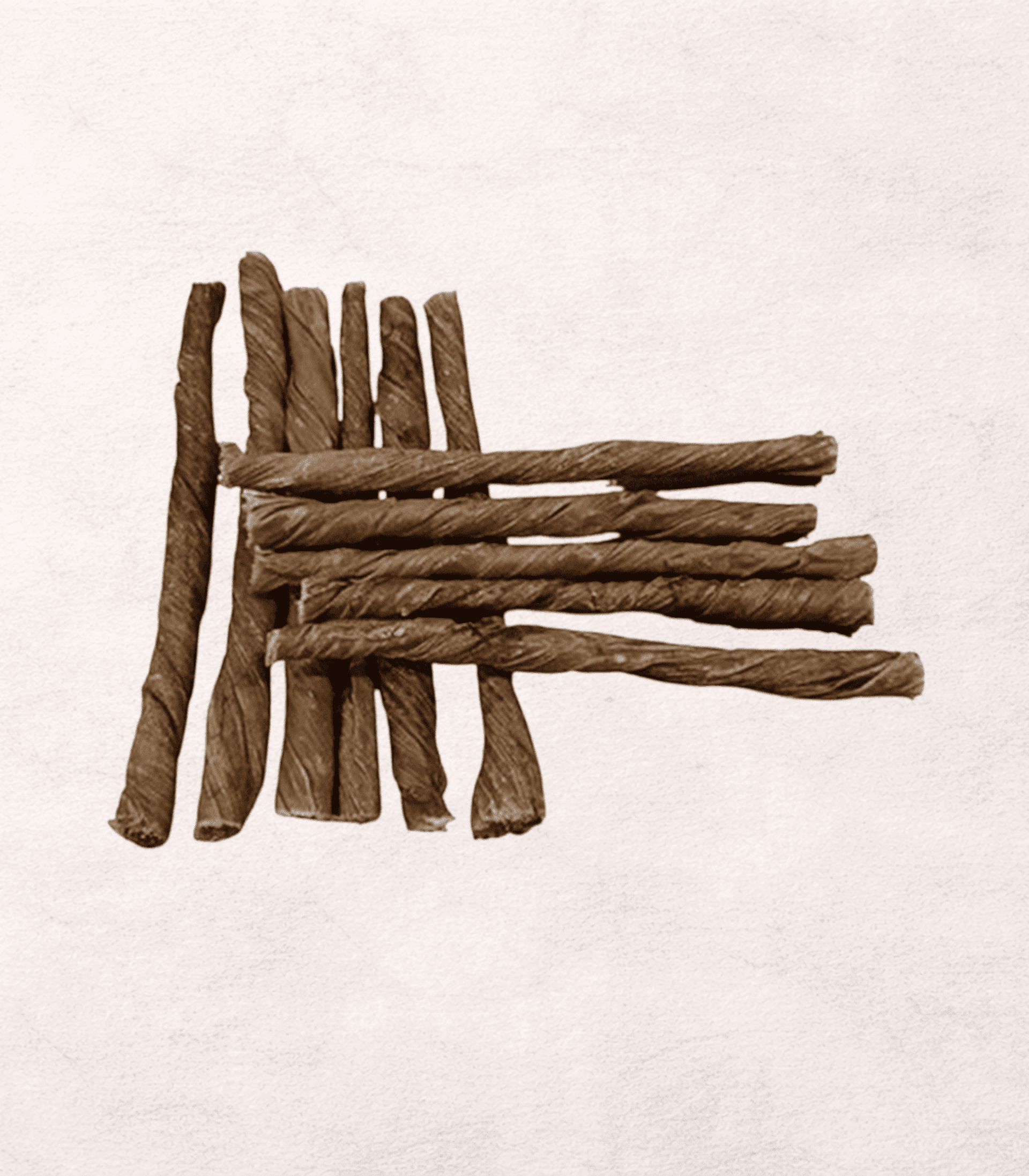 Rollito de Vejiga de Búfalo 12-15cm snack perro - 1