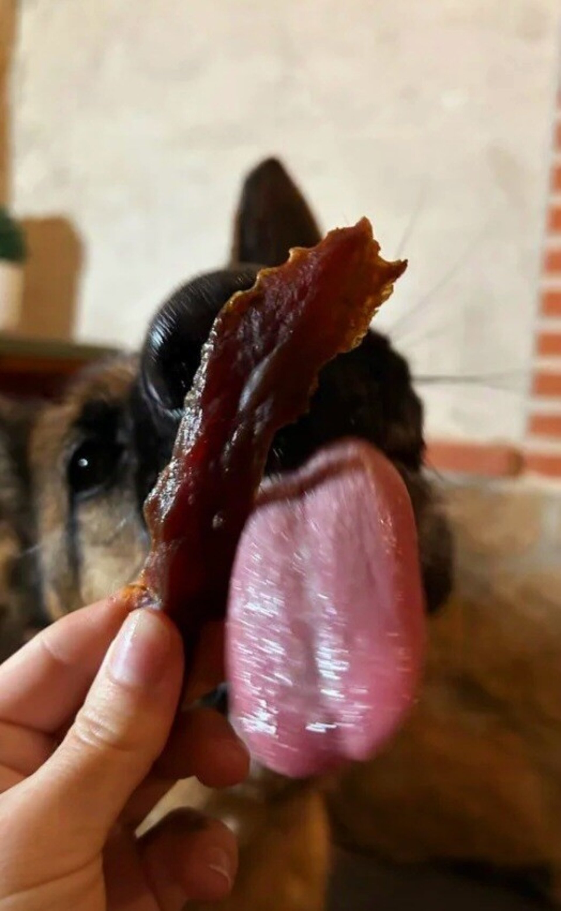 Delicia de pato snacks perros y gatos - 3